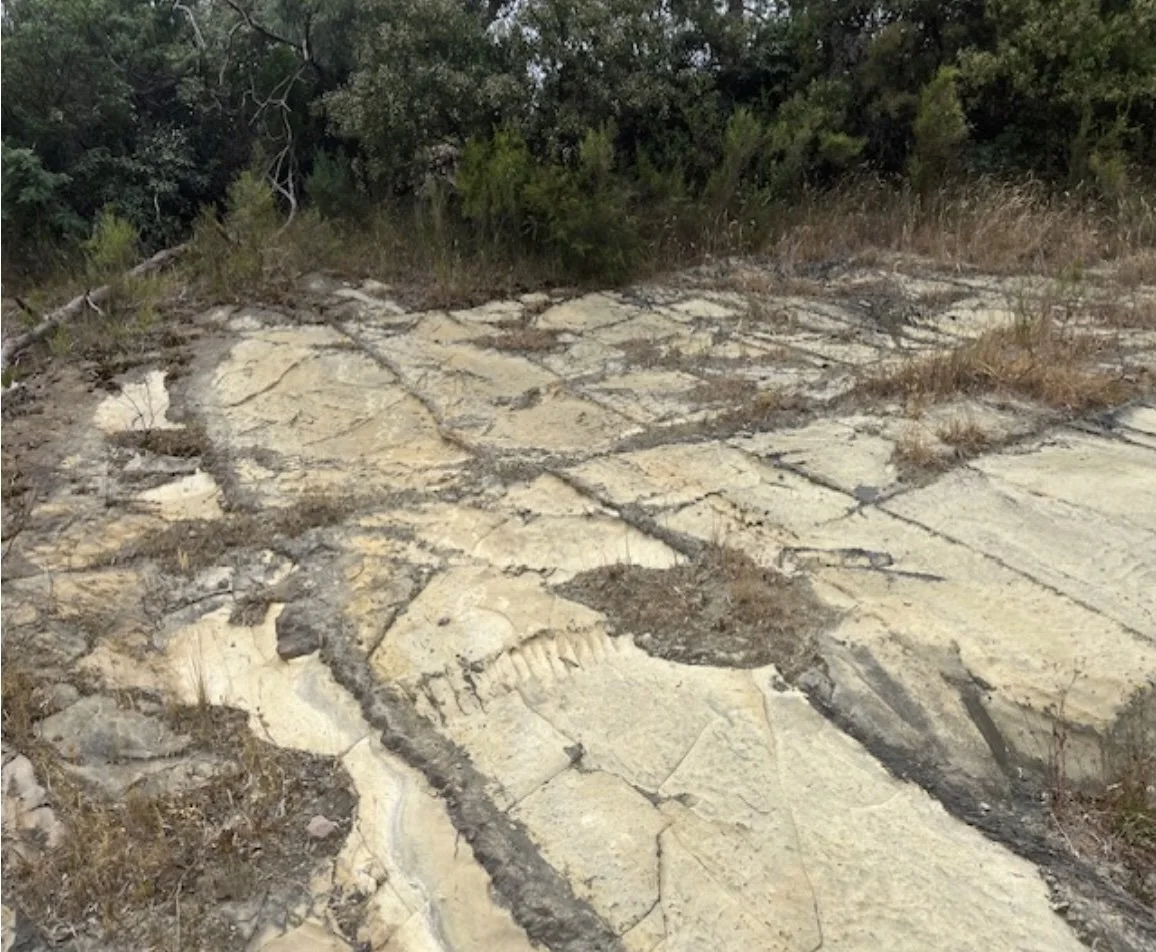 Possible sandstone at the Eastlink ventilation stack at Deep Creek Road