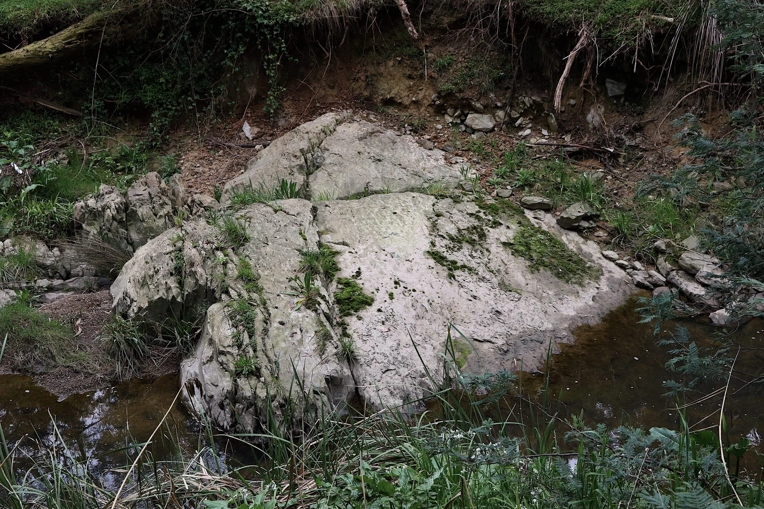 The 'rocky bottom' of the Mullum Mullum Creek can be observed at many locations