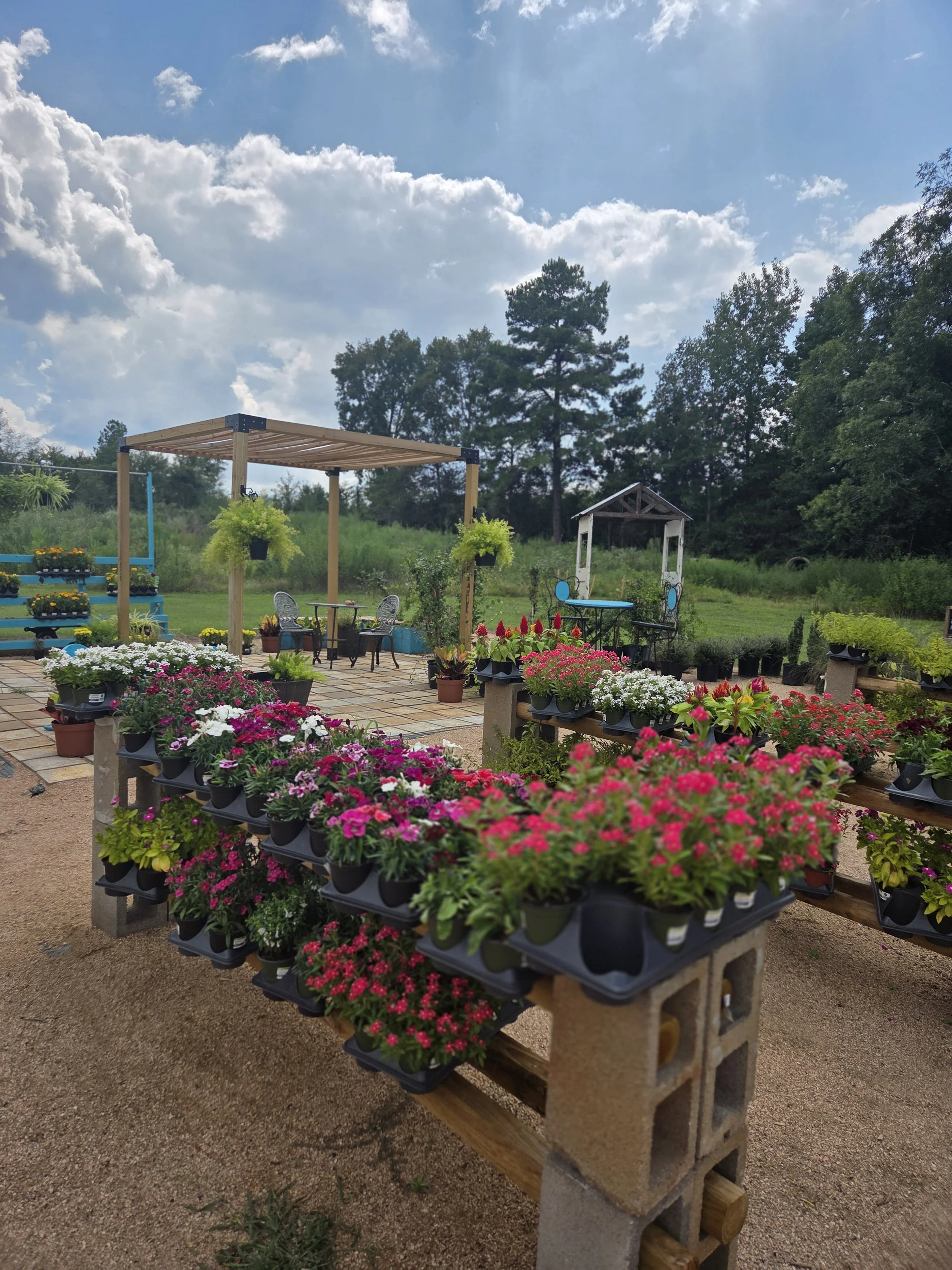 Seasonal plant nursery at The Flour & Flower Co., featuring flowers and plants for homesteads and gardens.