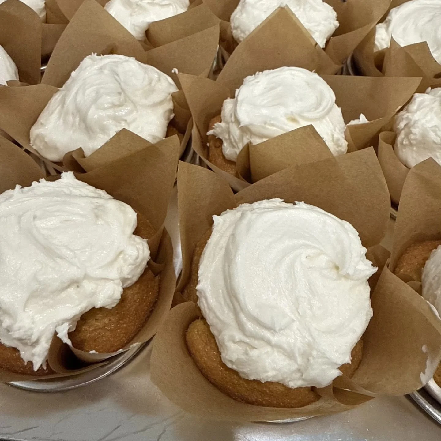 Vanilla Cupcake