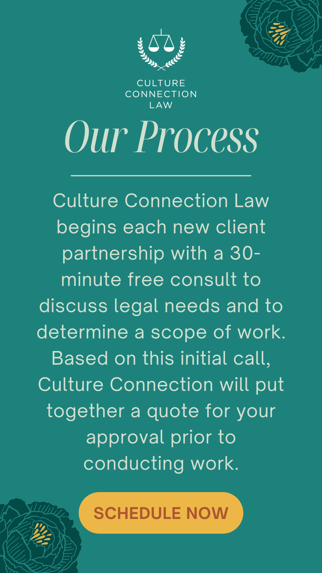 Social Media Graphic for Culture Connection Law - Crockett as in Davy