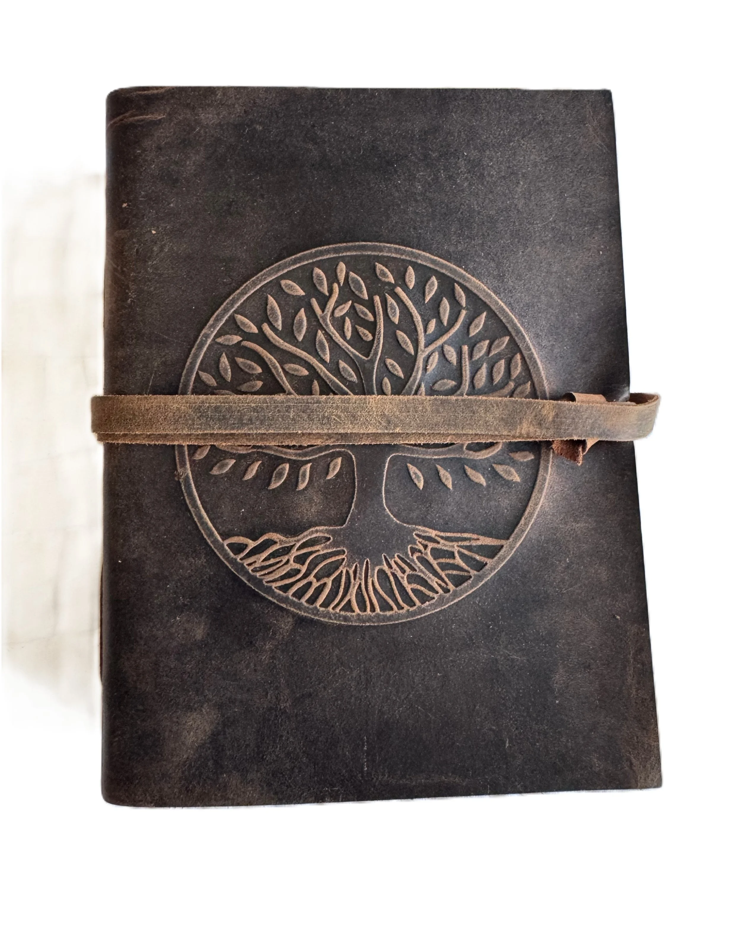 Tree of life journal 2.JPG