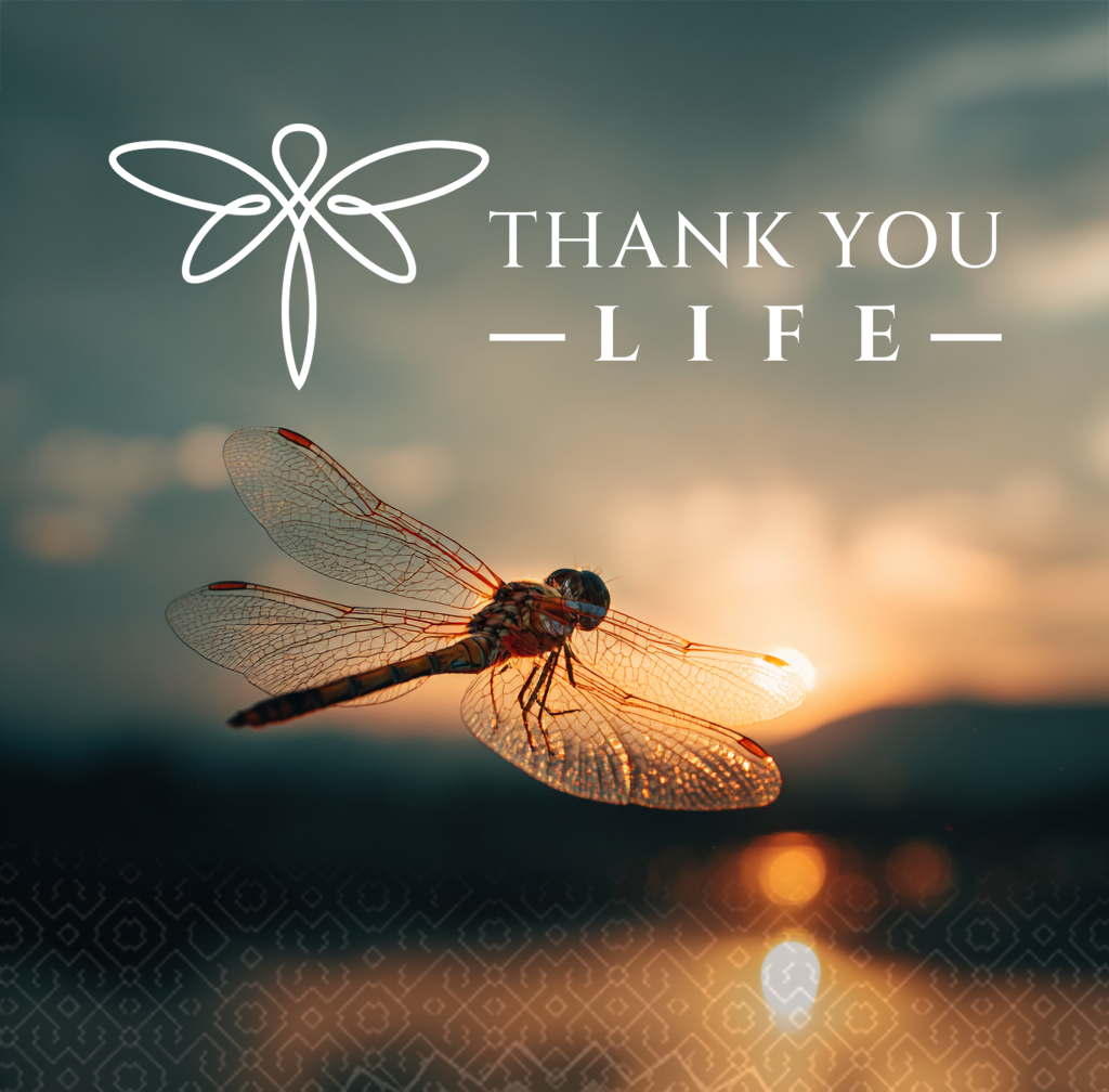 Add-On: Thank You Life Donation to Help Someone Heal