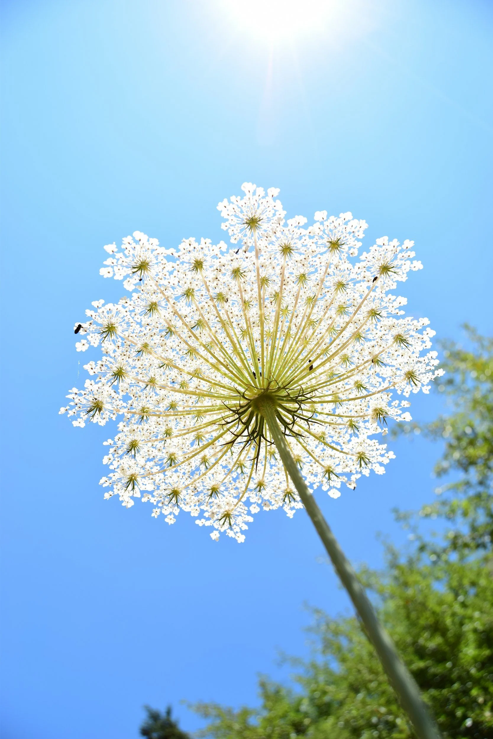 Resiliency…What’s that?