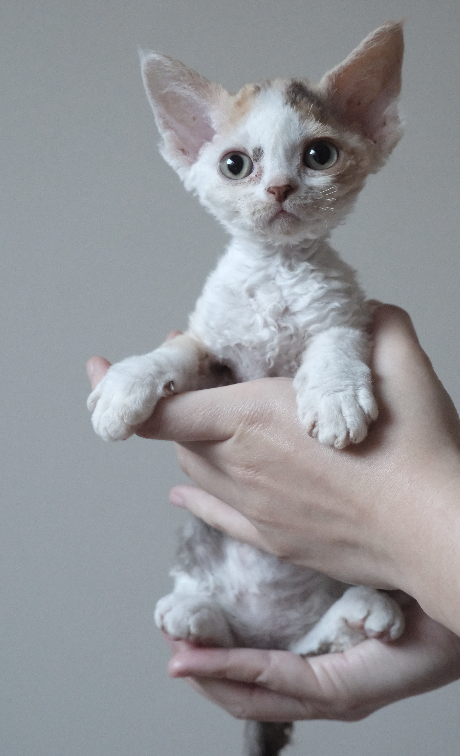 截屏2025-12-14 18.27.24.png