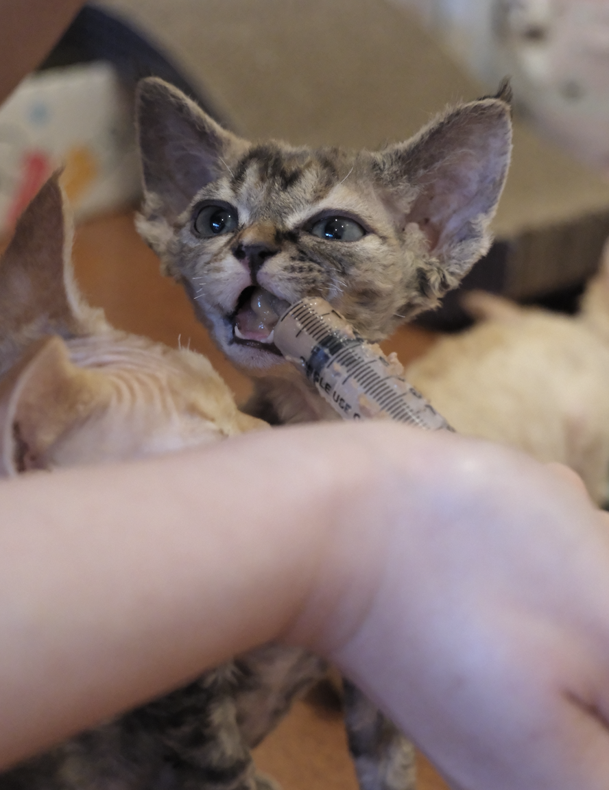 截屏2025-12-14 18.26.15.png