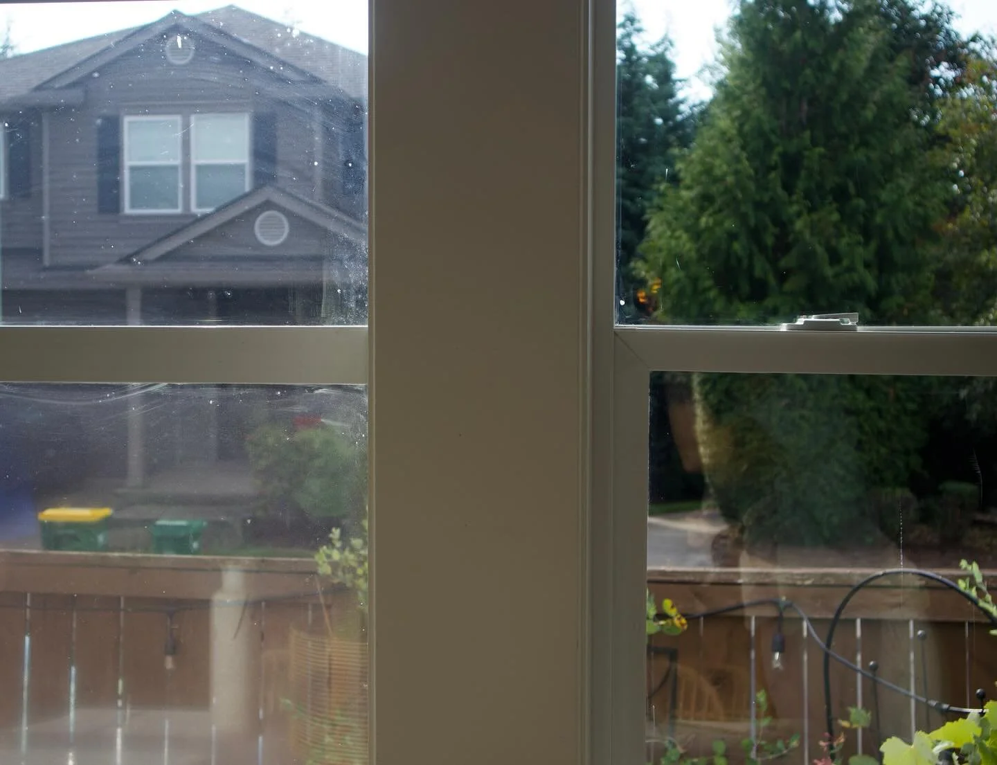 Clean windows make quite the difference! 🪟🧽🫧
#SqueakyCleanPNW