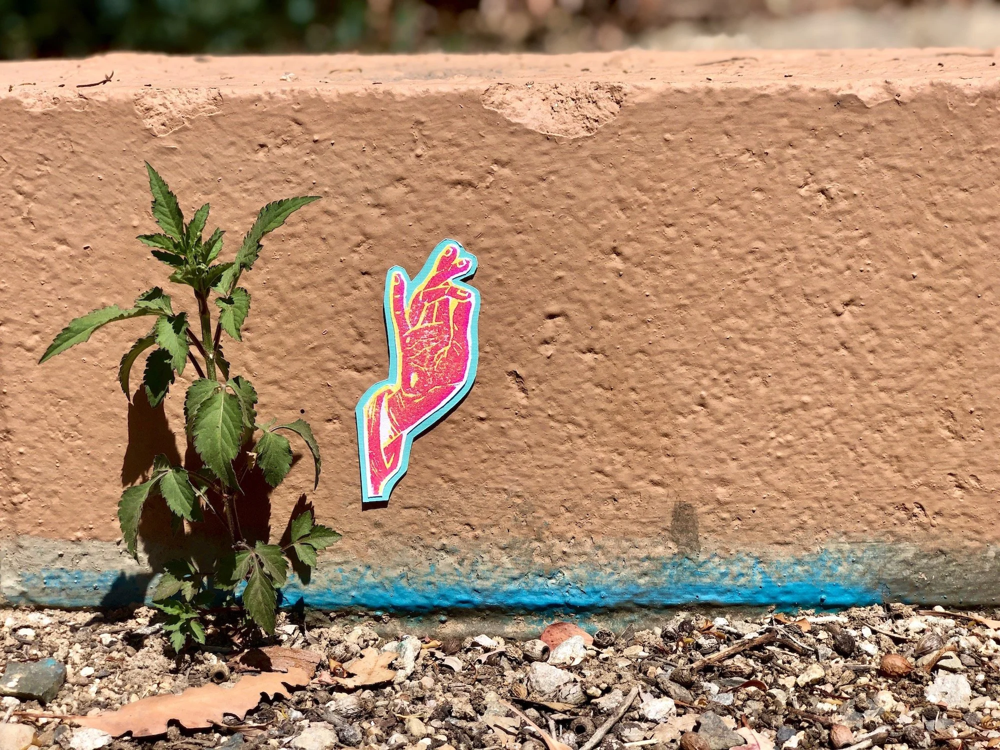 Plant_Brea copy.jpg