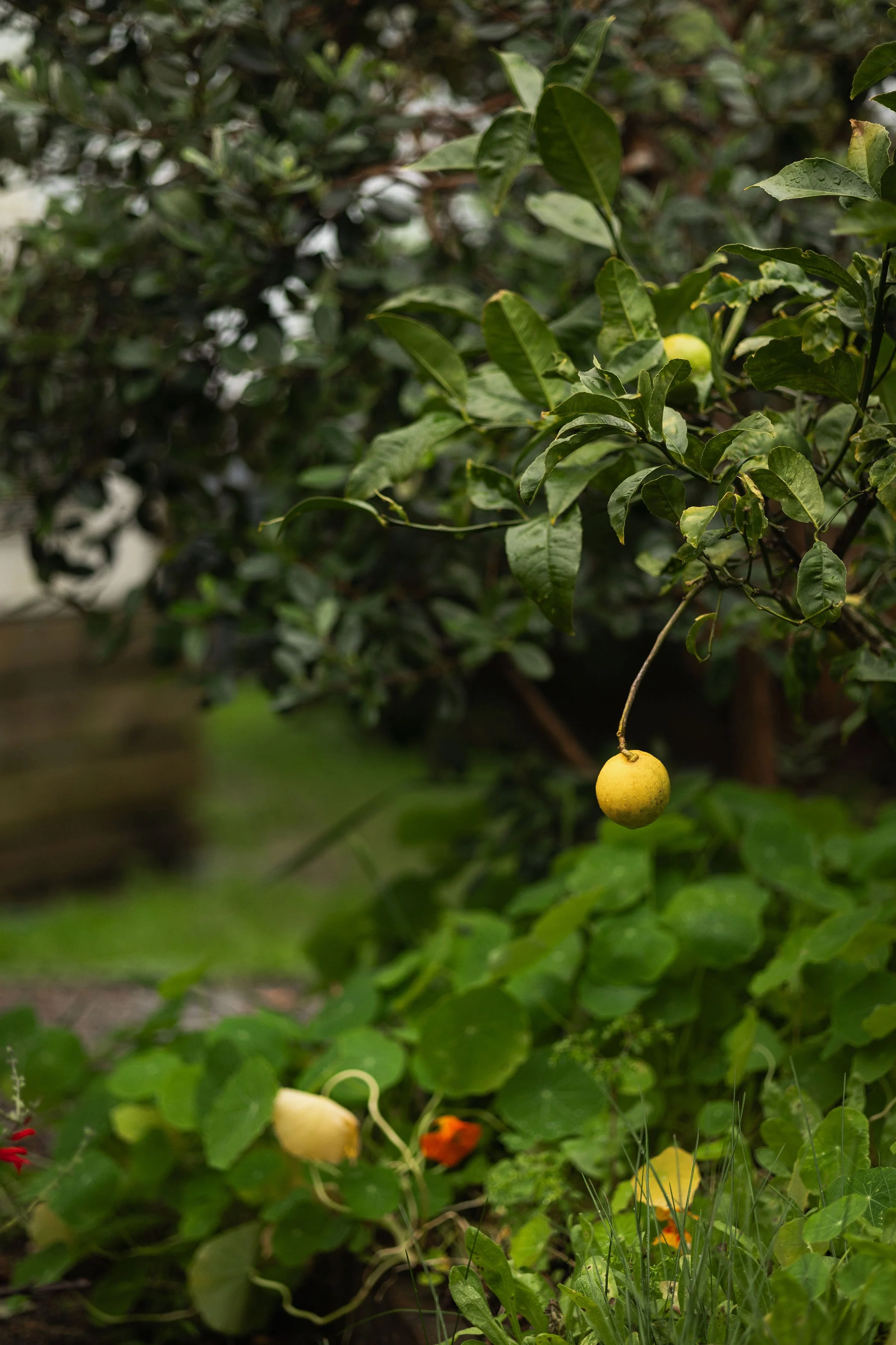 GardentoTable-5.jpg