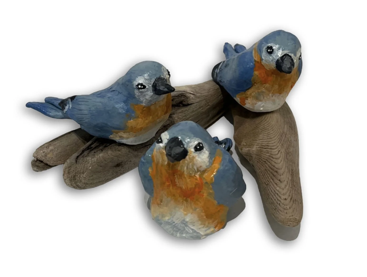 Birds.jpg