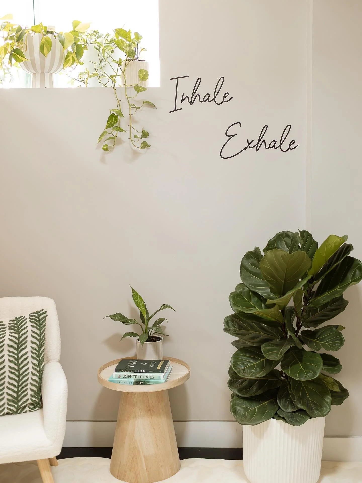 Every detail of our studio has been curated to bring you a sense of calm, so you can reconnect with your body and mind. This is a space to return to you 🕊️

#ReformerPilates #PilatesStudio #HomeStudio #MindfulMovement #PilatesInstructor #WellnessSpa