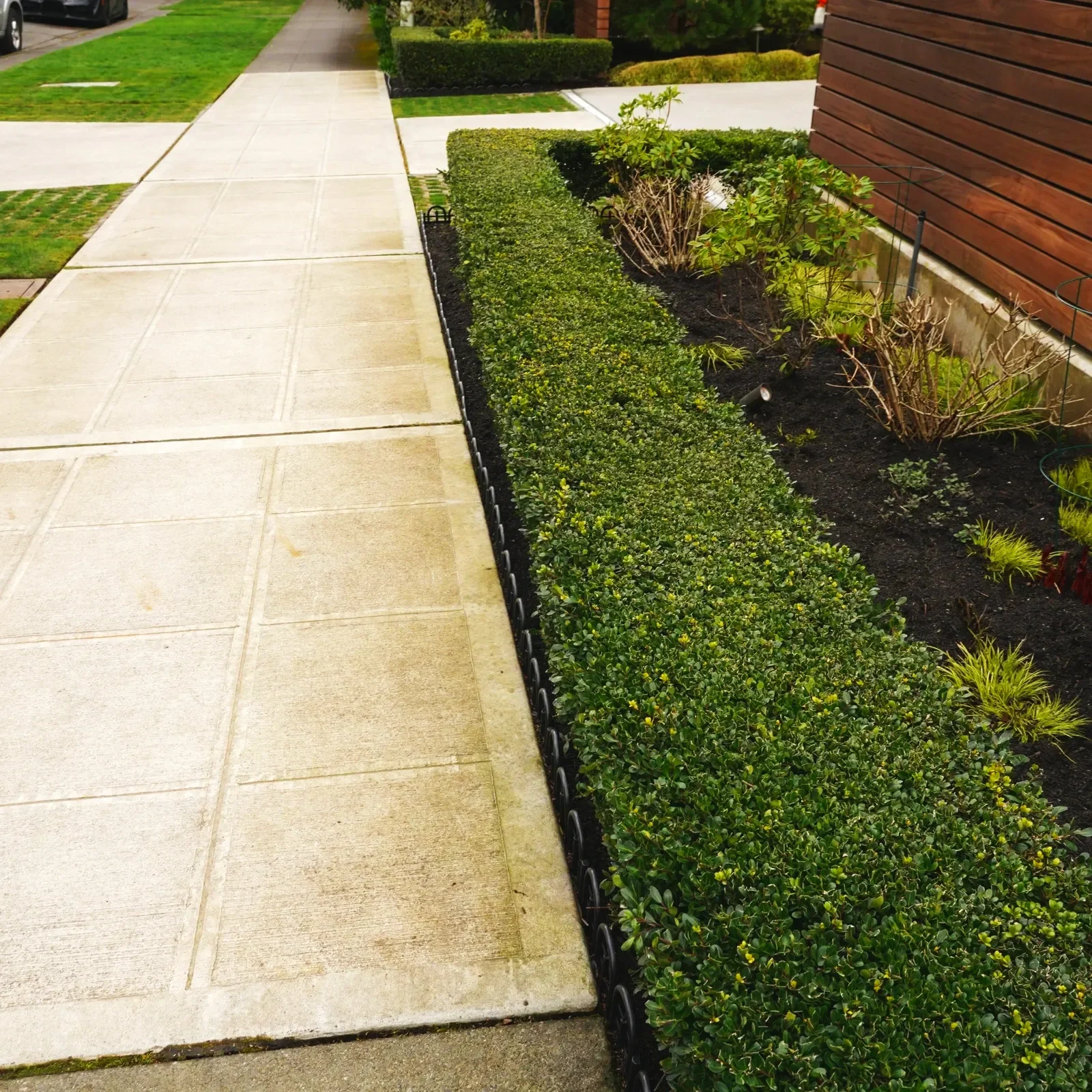 A sidewalk next to a manicured hedge and garden bed with plants, bordered by a wooden building wall.