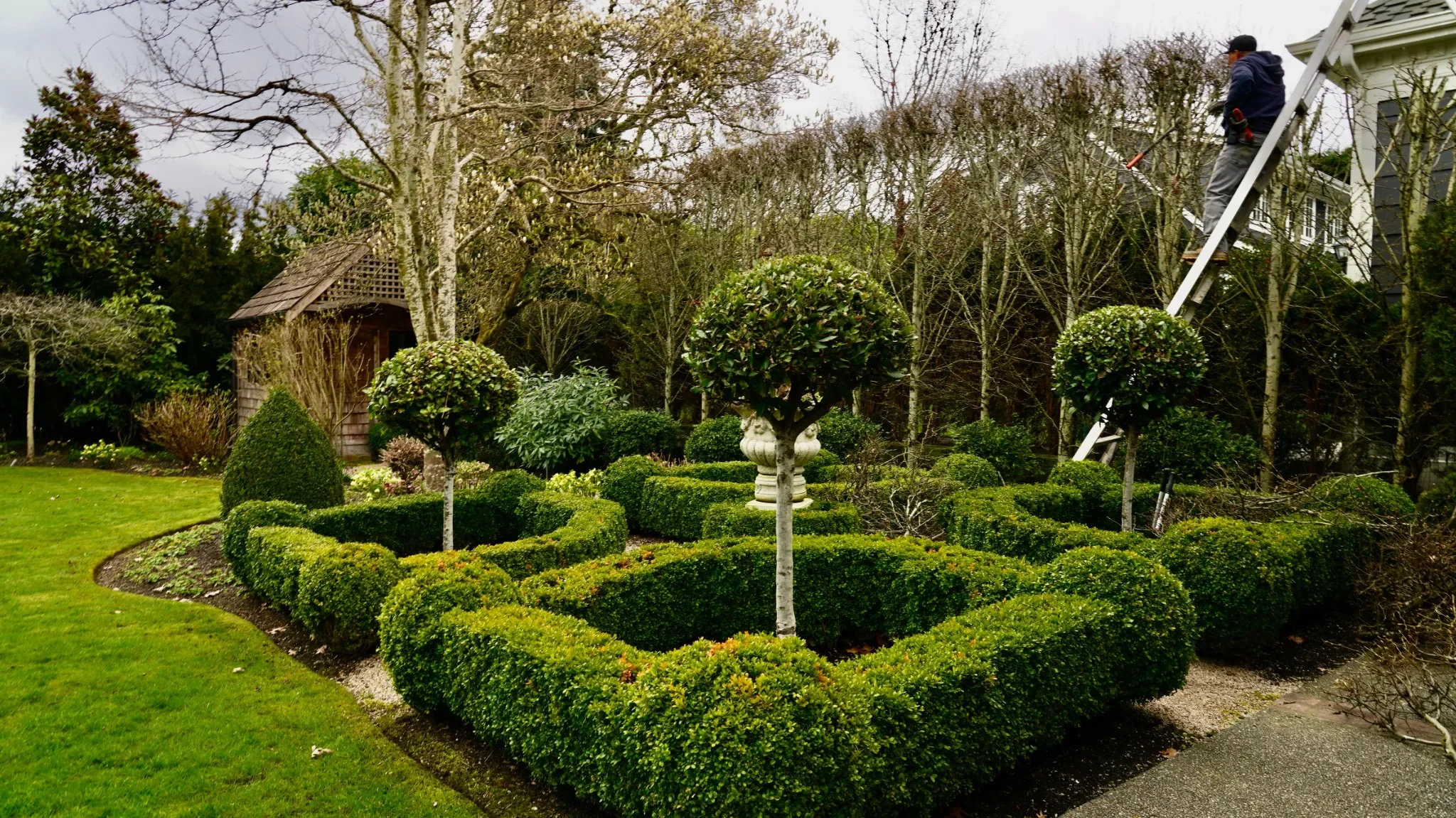 A person is trimming bushes in a landscaped garden using a ladder. The garden features neatly trimmed hedges, small trees, and a decorative urn in the center. In the background, there are bare trees and a wooden shed.
