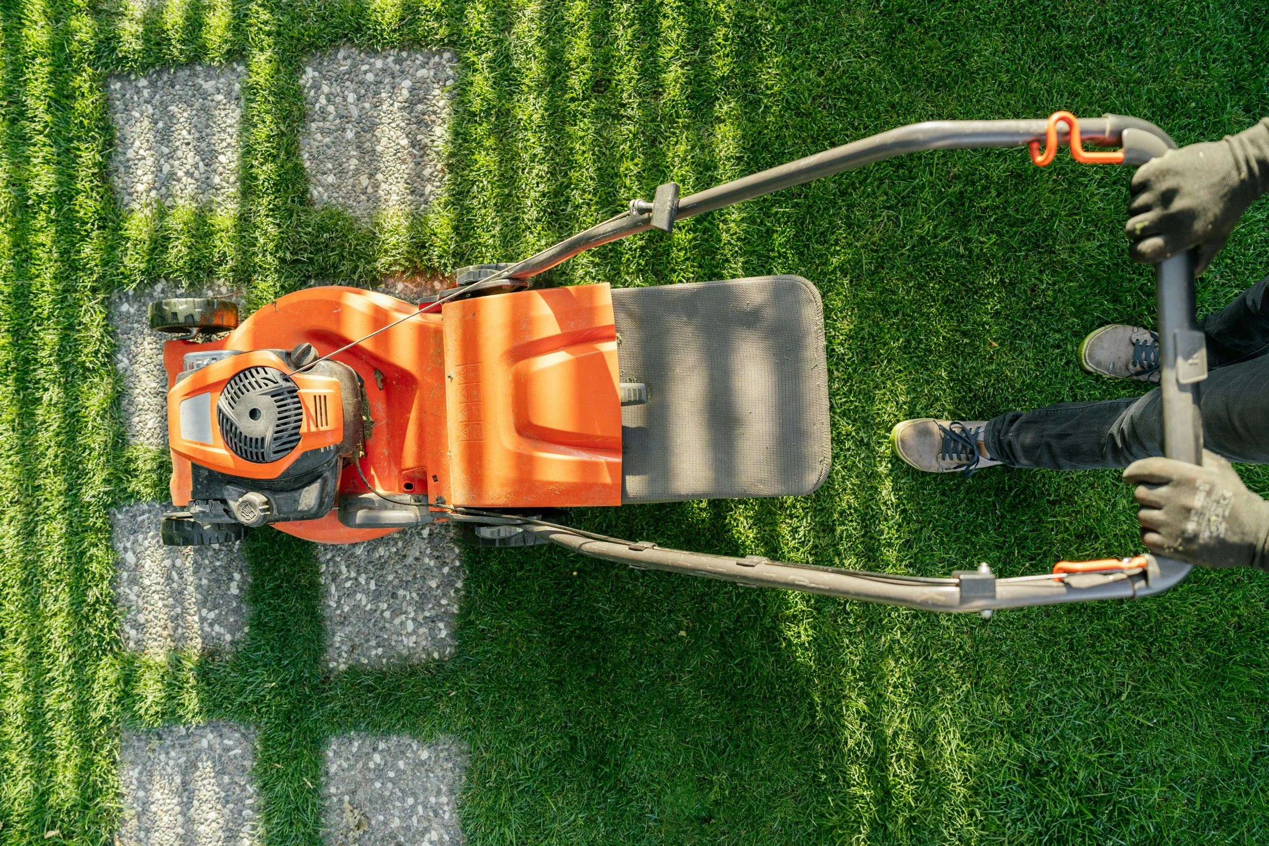 Mastering Mowing for a Lush, Dense Lawn in Spring—in Ballard