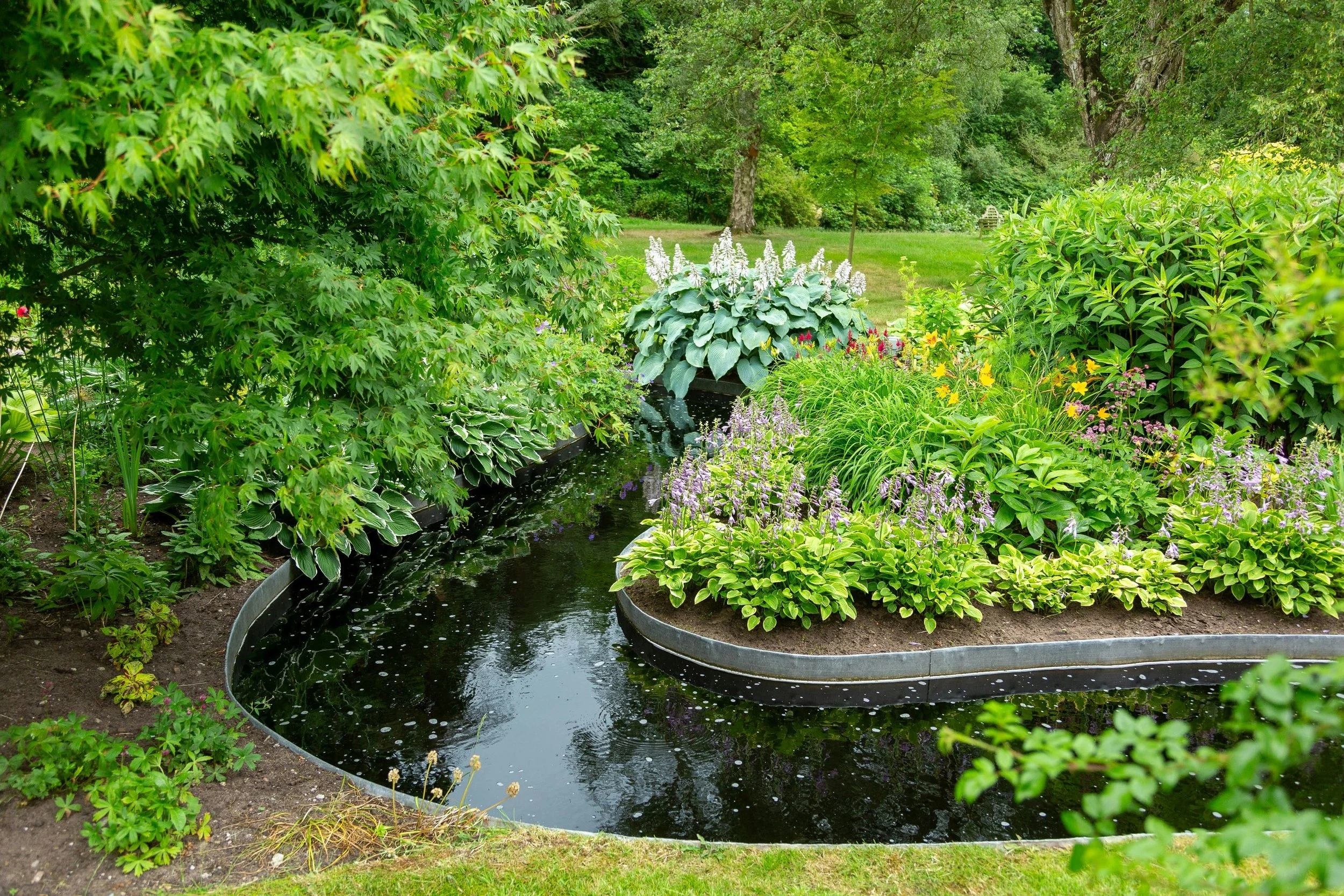 Why Trust a Local Seattle Landscaping Professional for Specialty Plant Maintenance?