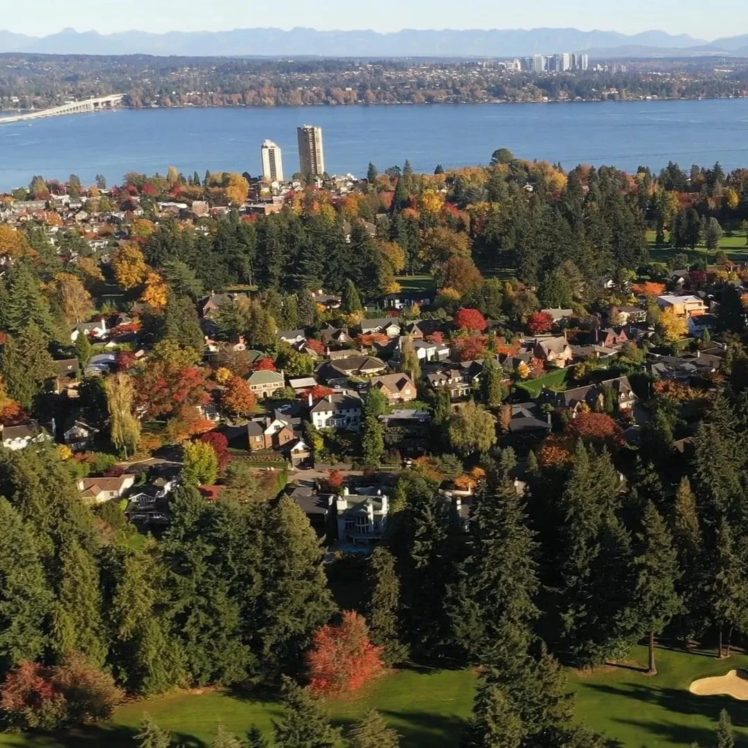 Aerial view of a suburban neighborhood with houses surrounded by trees displaying autumn colors, near a large lake with mountains in the background.