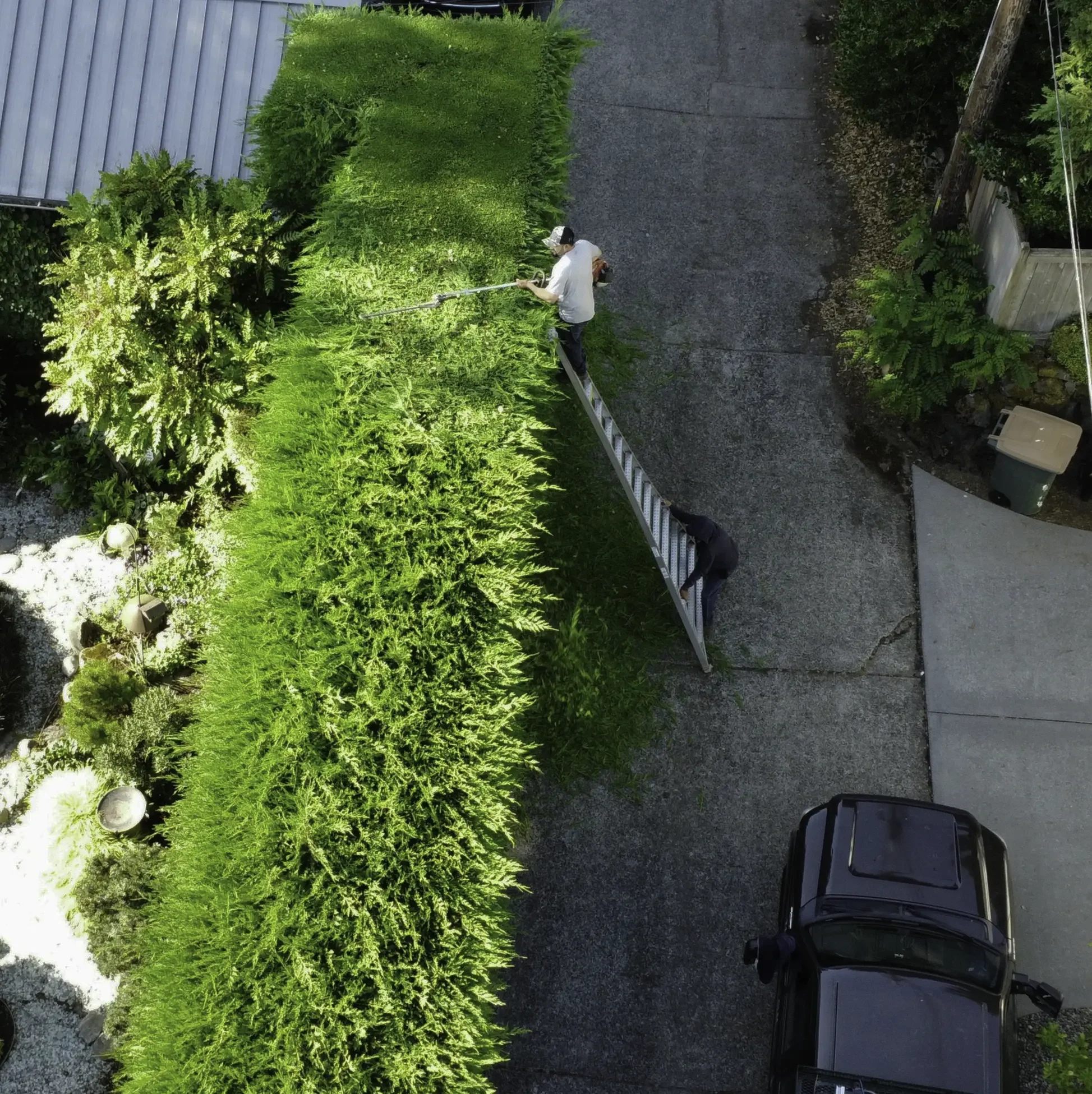 Consistent, professional mowing services that keep lawns clean, healthy, and vibrant.