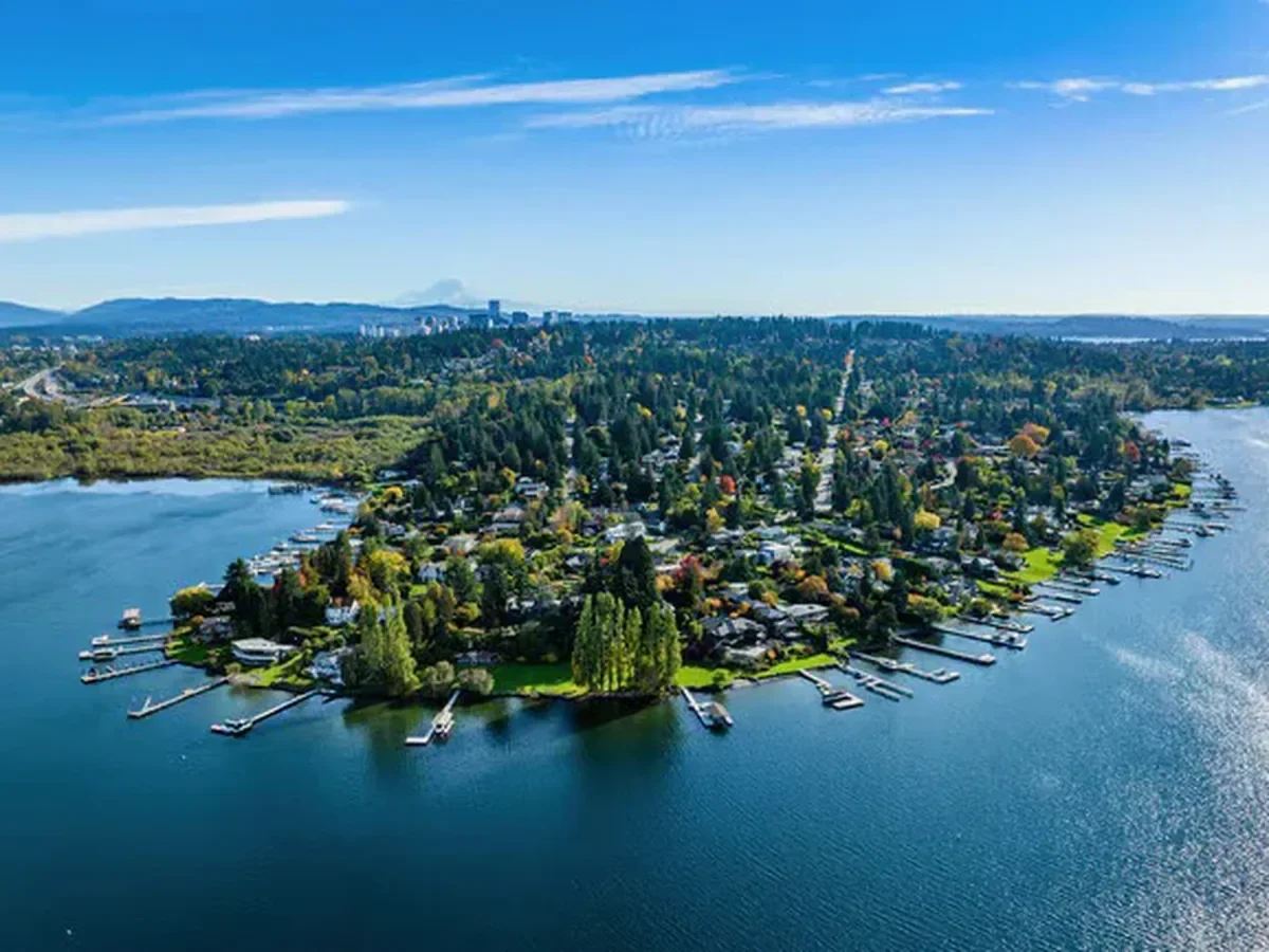Aerial view of a lakeside residential area with houses, green trees, and boat docks, with a city skyline and mountains in the background.