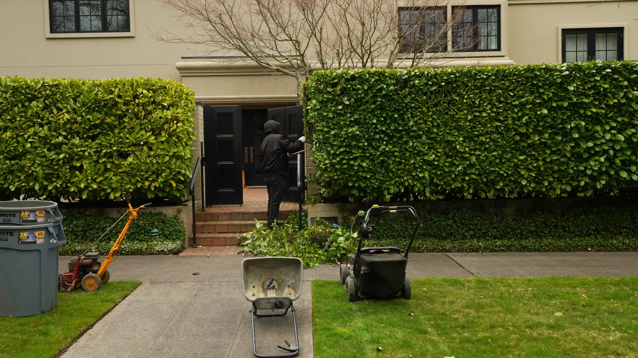 Expert hedge trimming by our Seattle yard care team, ensuring clean lines, healthy growth, and a polished landscape.