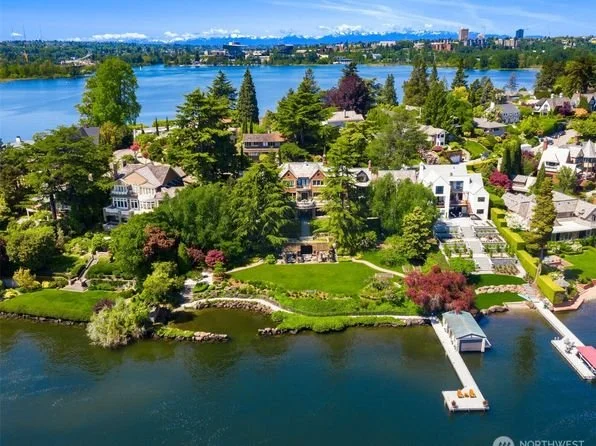 Aerial view of a lakeside residential neighborhood with several large houses, lush trees, green lawns, and two docks extending into the calm lake water, with a distant city skyline under a partly cloudy sky.