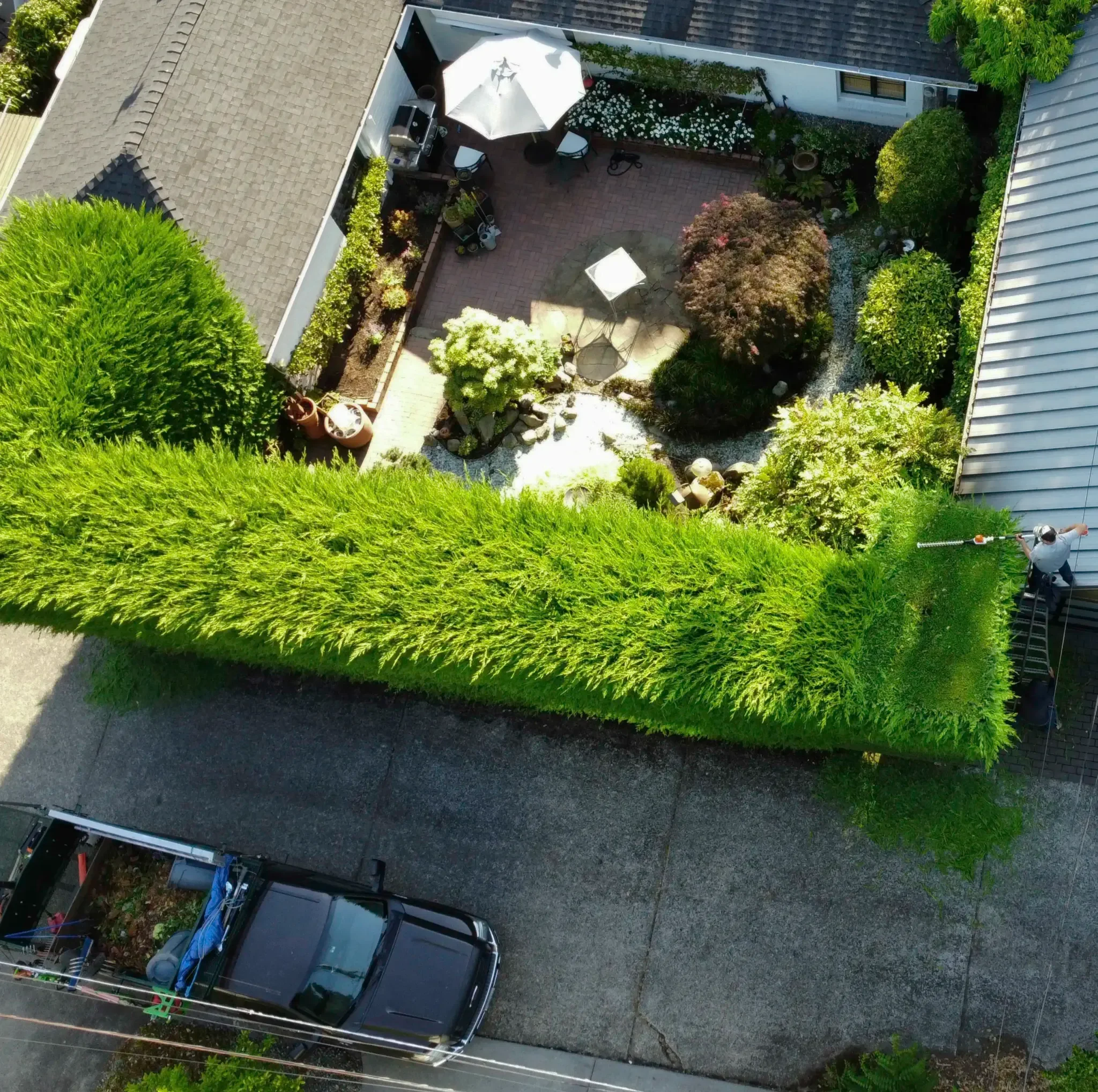 Precision Hedge Maintenance – Aerial View.webp