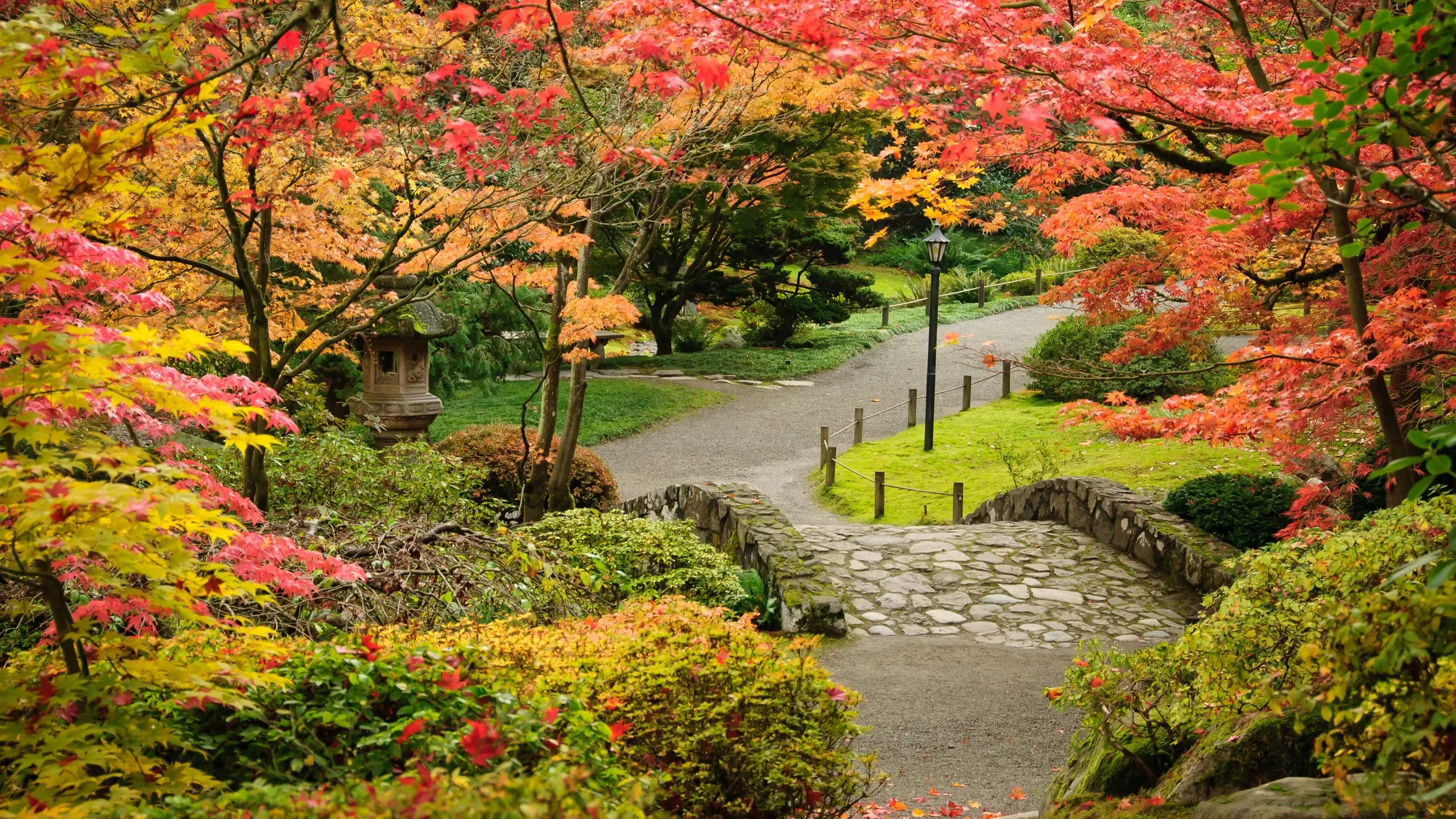 A peaceful Japanese garden with a stone pathway, colorful autumn trees, a small stone lantern, a lamp post, and lush green grass.