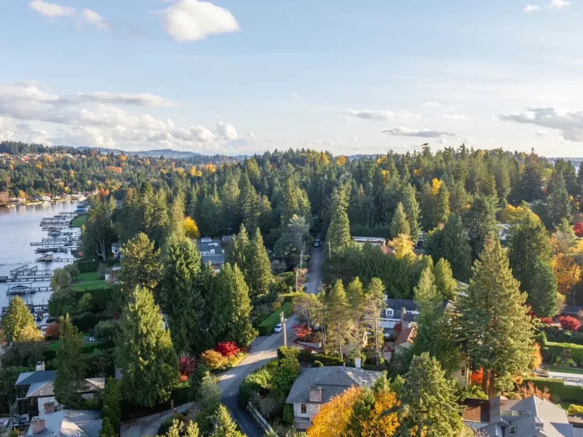 Aerial view of a lakeside residential neighborhood with houses, trees, waterfront docks, and a bridge in the distance, under a partly cloudy sky during daytime.