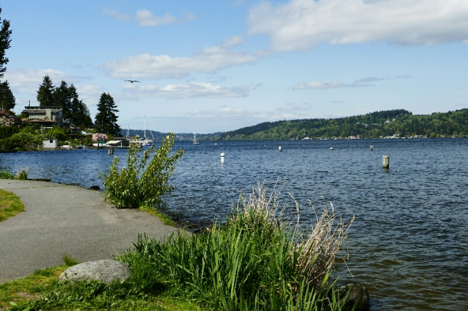 View of a waterfront with a walking path, greenery, houses, and docked boats under a partly cloudy sky.