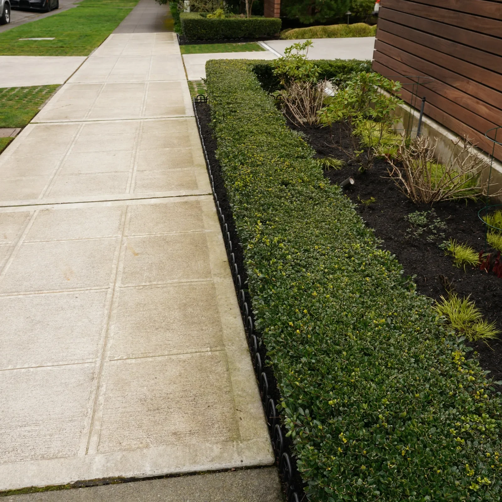 A sidewalk next to a manicured hedge and garden bed with plants, bordered by a wooden building wall.