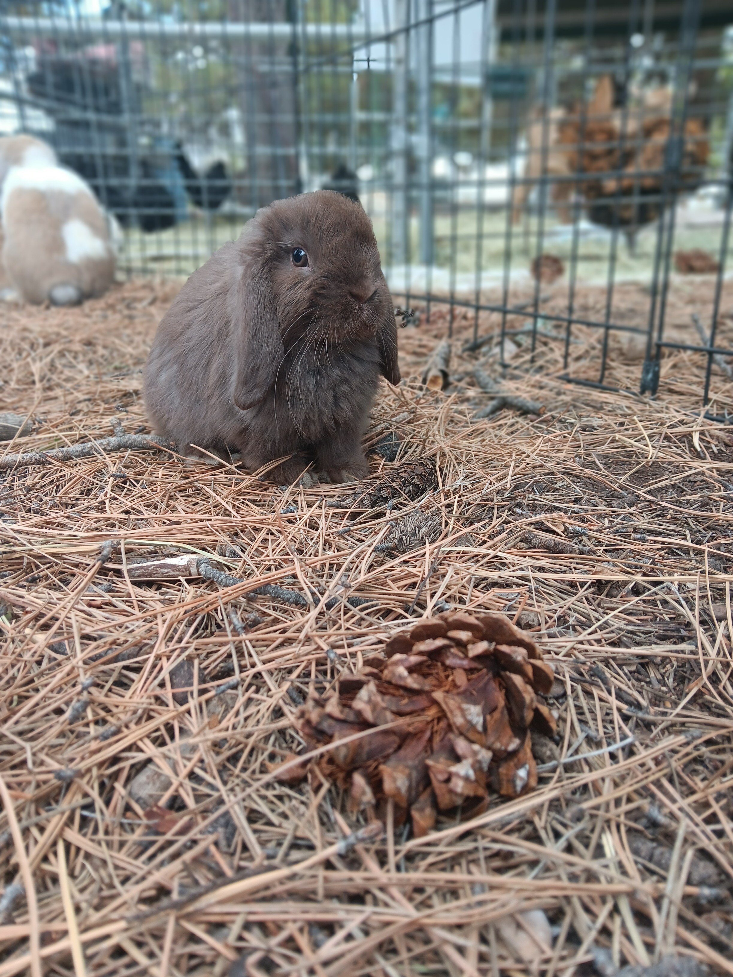 20250603_122254 (2).jpg