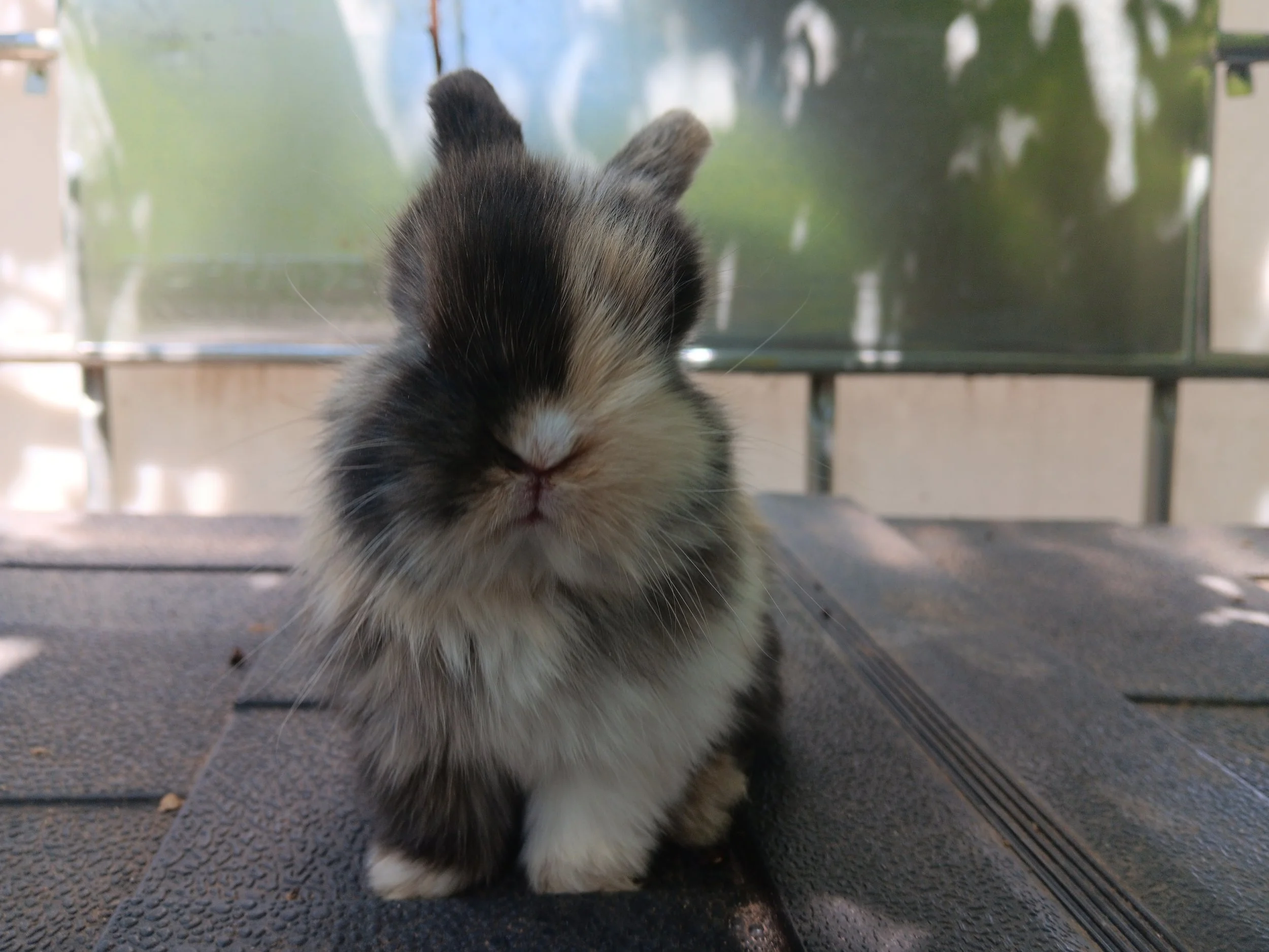 20260408_121408 (1).jpg