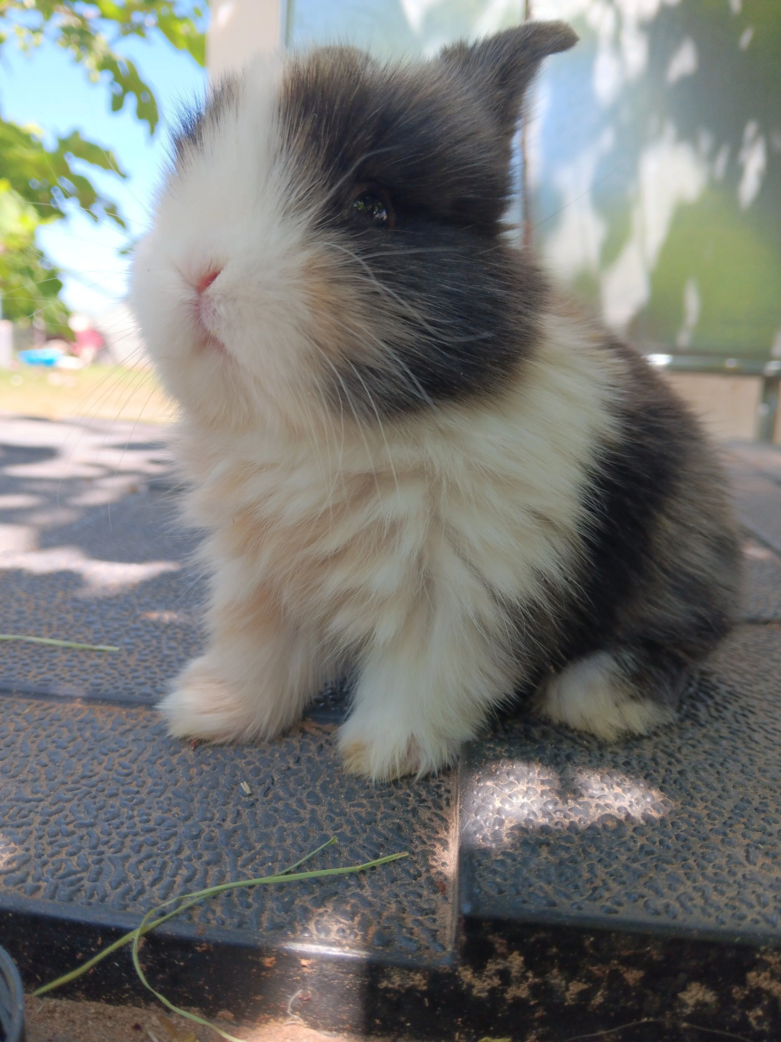 20260408_120914 (1).jpg