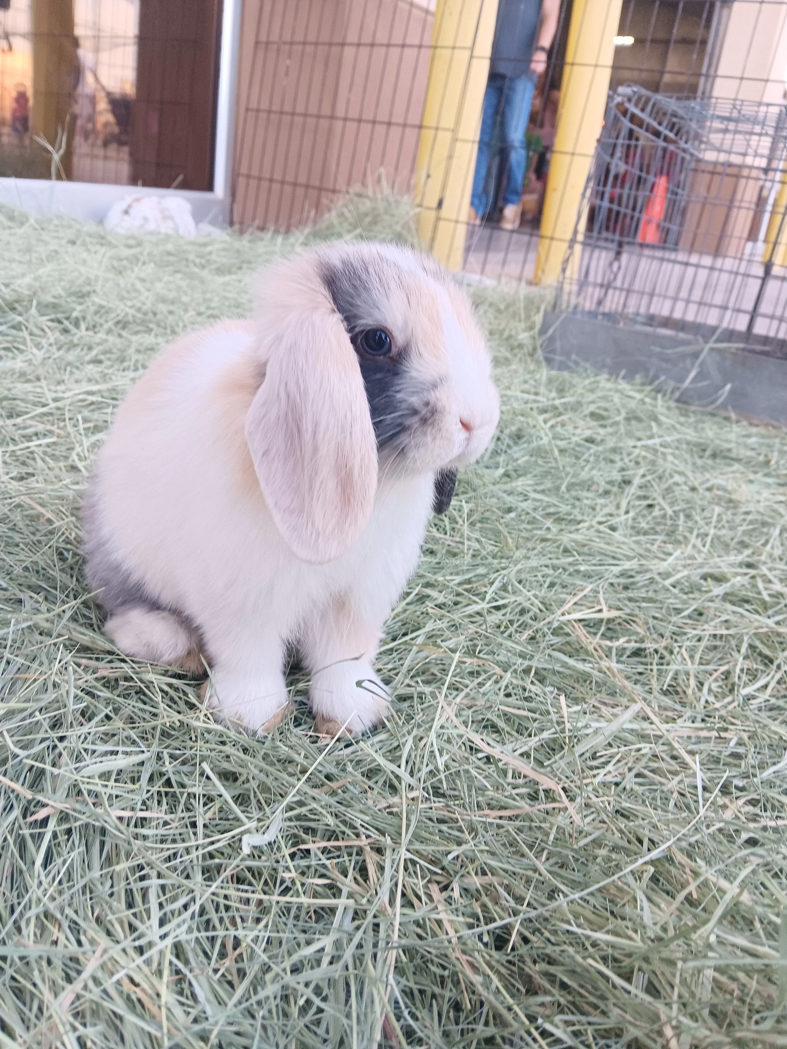 20260403_182837 (1).jpg