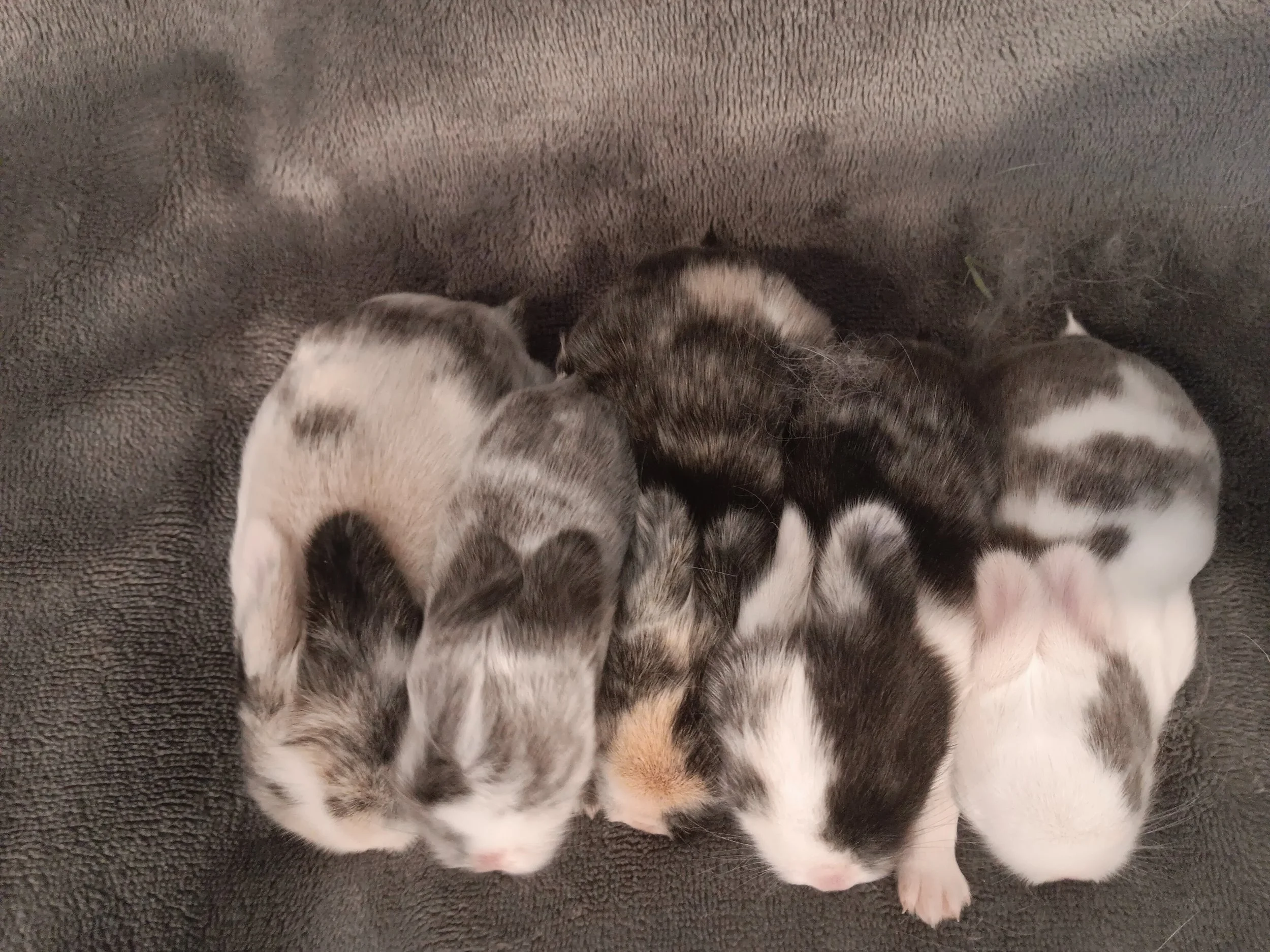 20260217_141049 (1).jpg