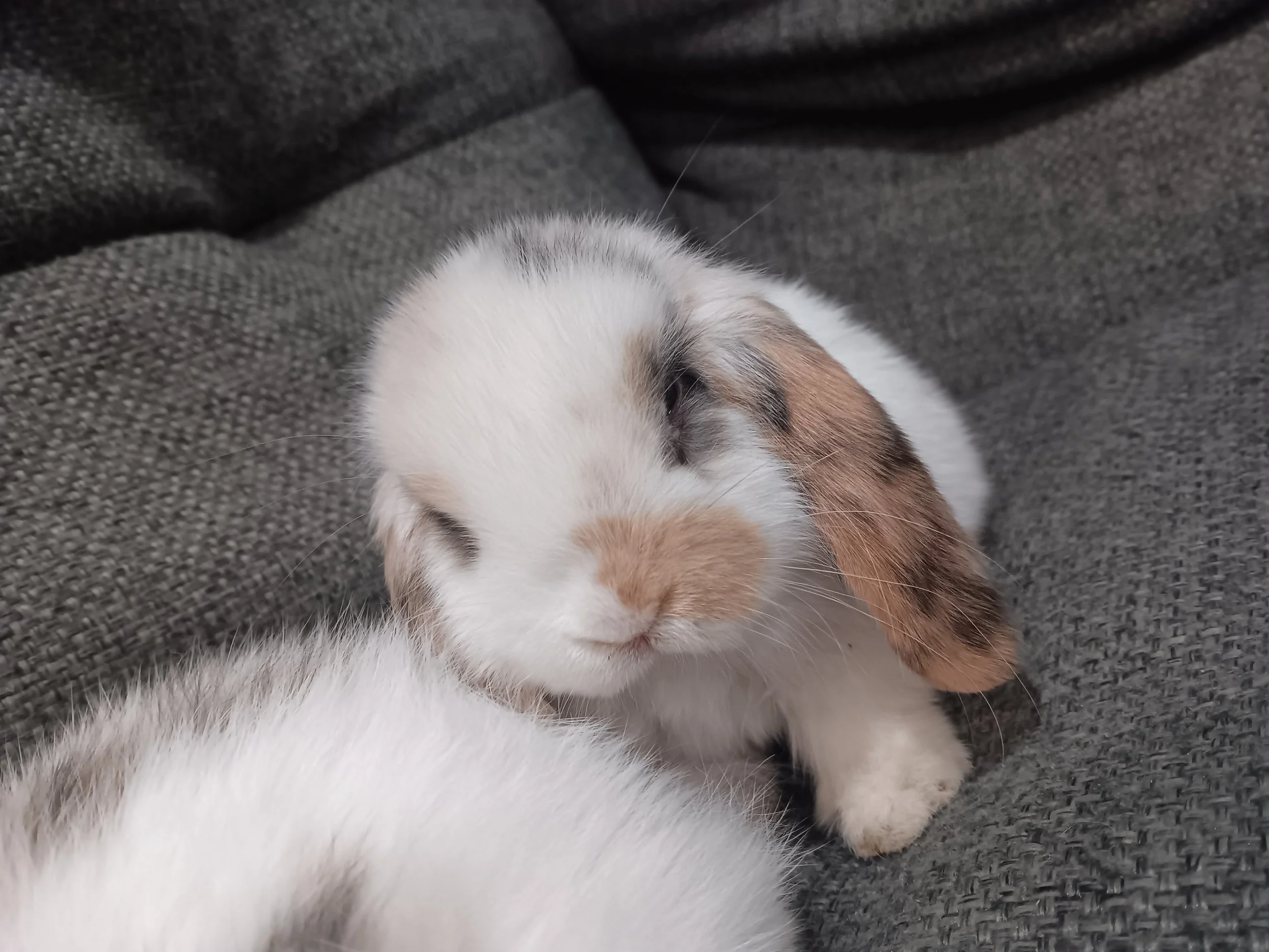 20260328_125514 (1).jpg