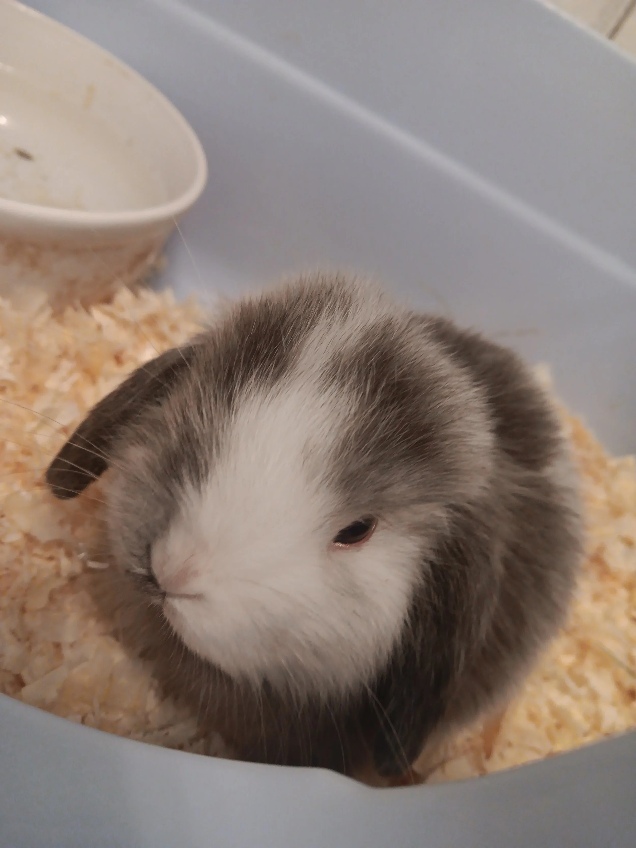 20260318_113755 (1).jpg