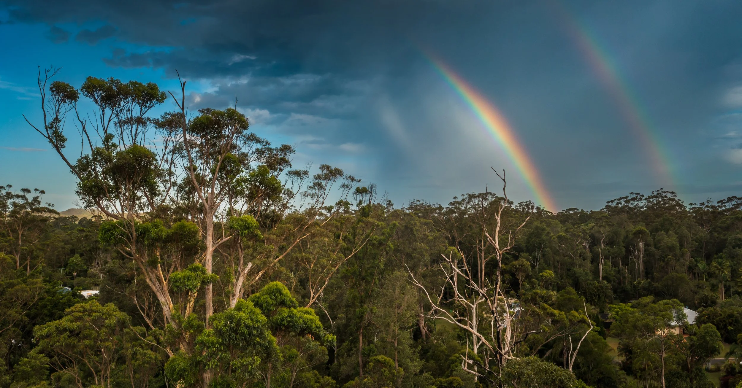 After the Storm.jpg