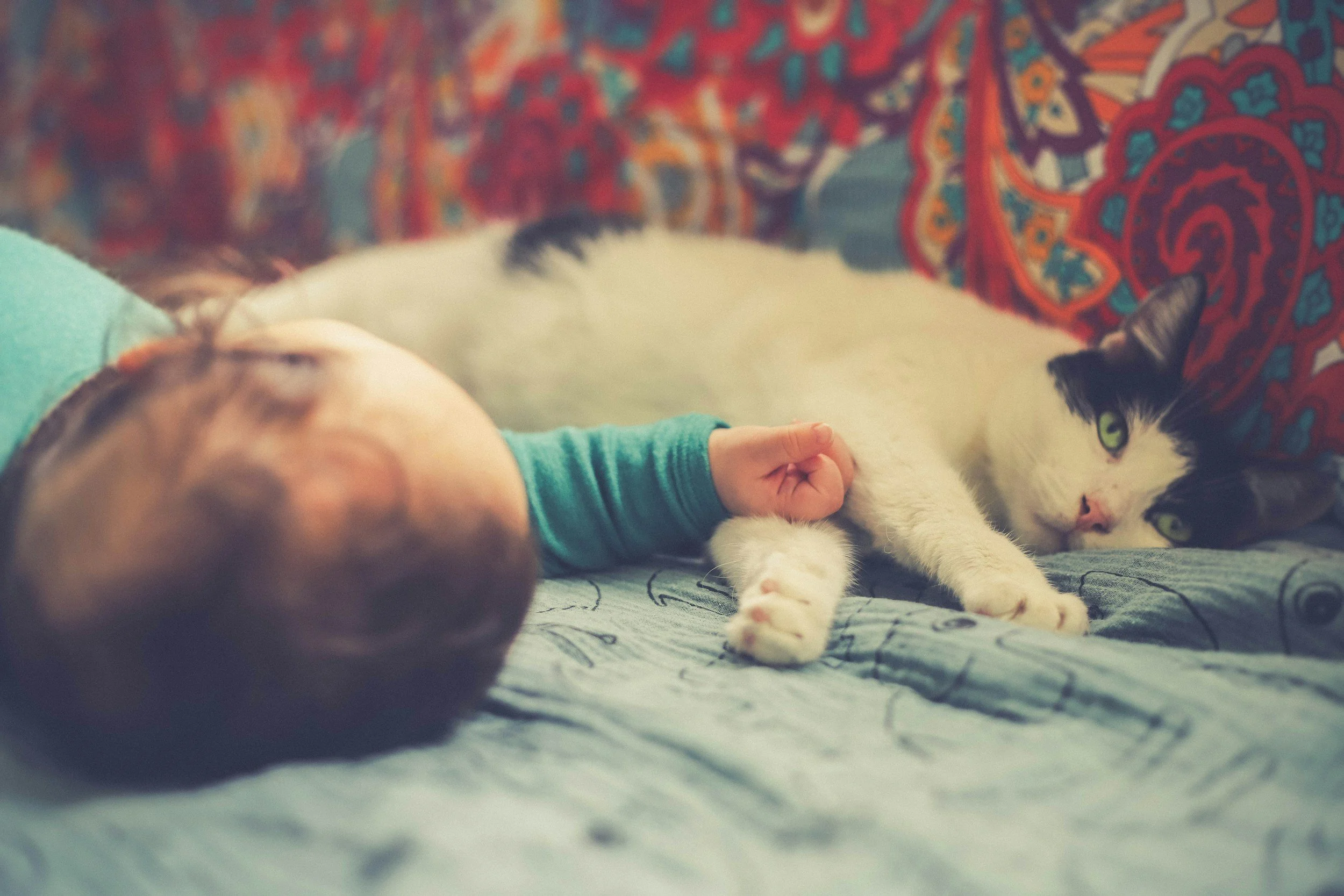 A sleeping child lying next to a relaxed black and white cat with green eyes on a bed with a patterned background.