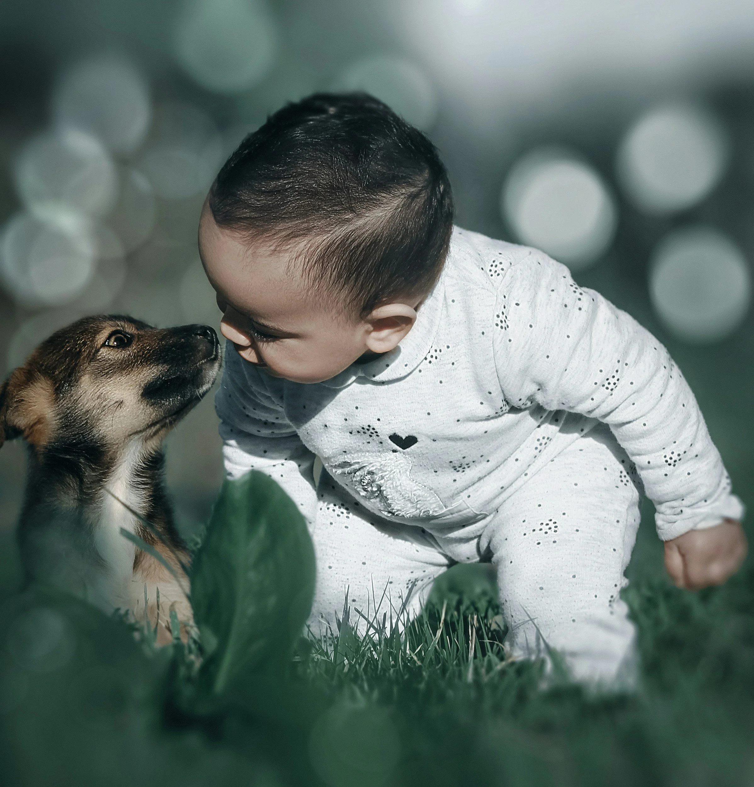 A young child in a white outfit with black dots on the crawling on grass, facing a puppy, with both noses almost touching.