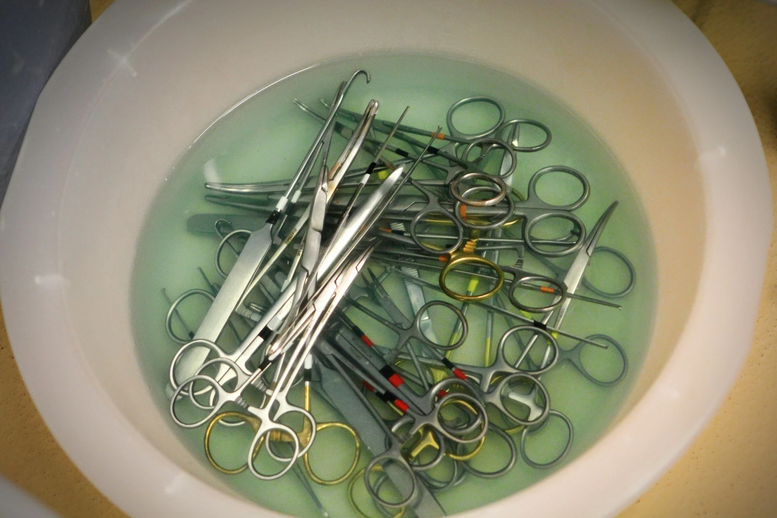A white plastic basin filled with water containing disinfection tools such as scissors, forceps, and other small metal surgical instruments.