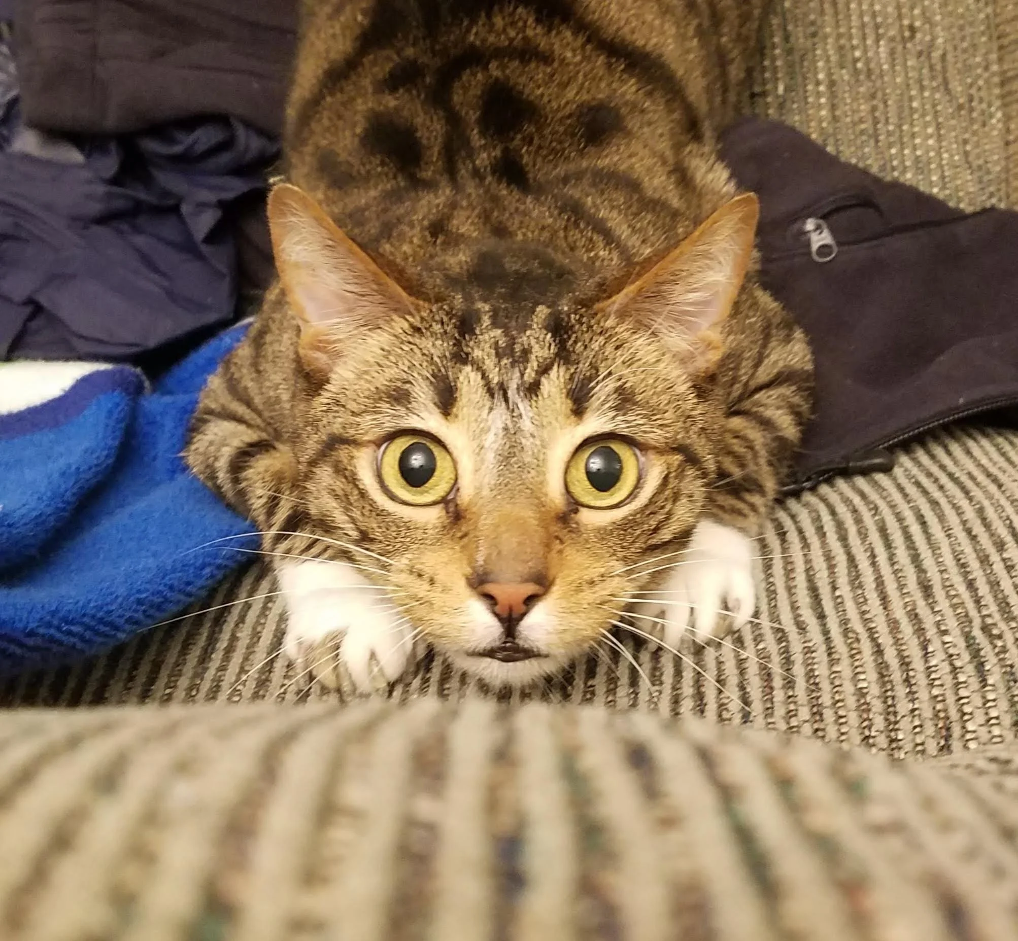 20180307_183406.jpeg