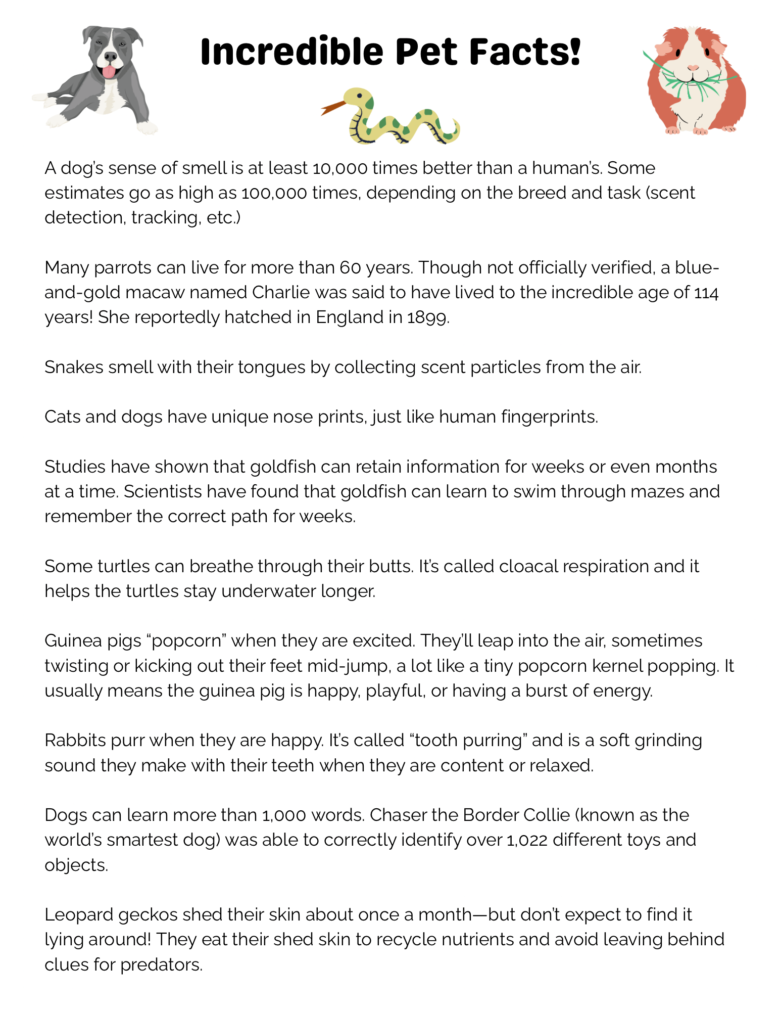 Infographic titled 'Incredible Pet Facts' with illustrations of a dog, snake, guinea pig, cat, turtle, rabbit, and leopard gecko, listing interesting facts about each pet.