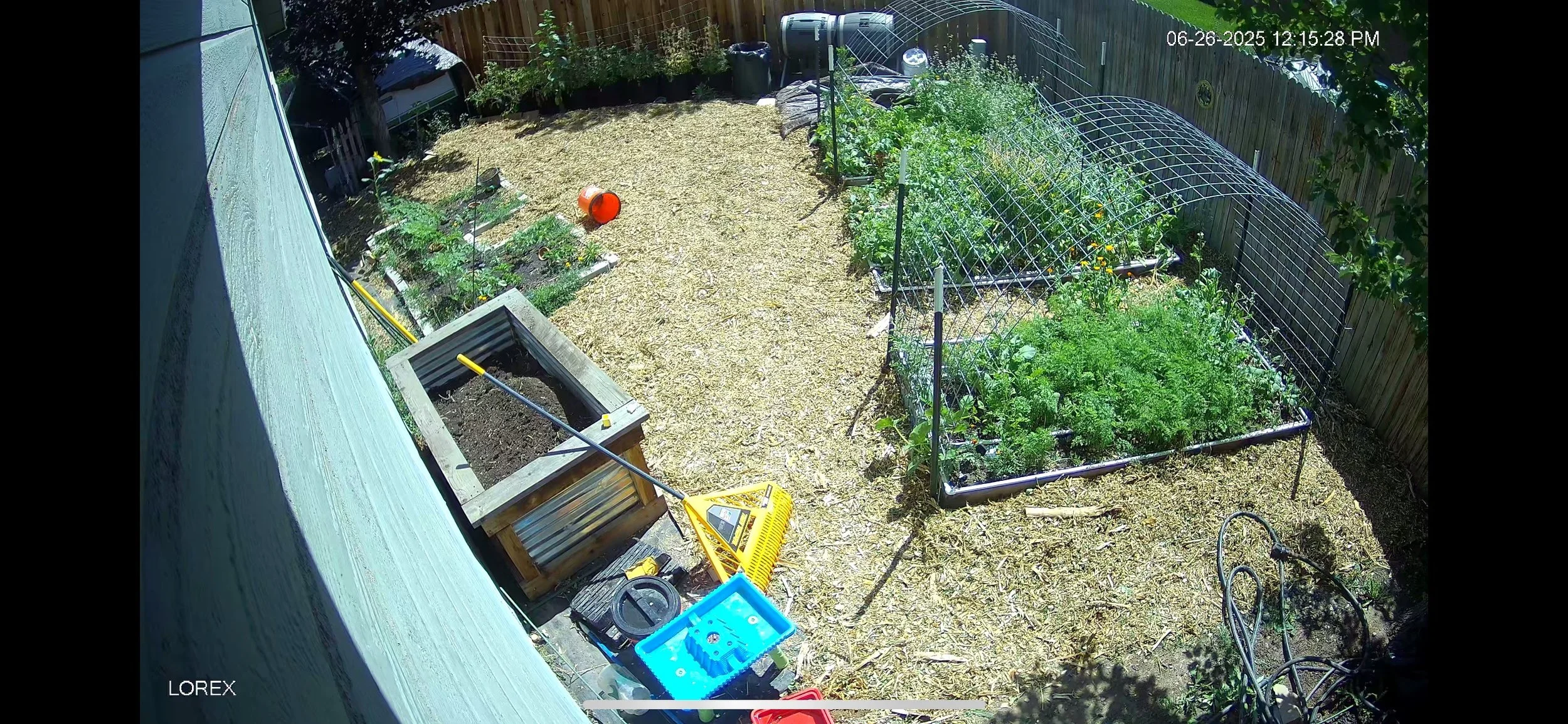 Yard camera view.png