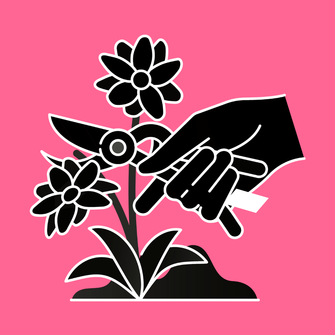 Square logo of Deadheading. Graphic of a hand pruning a flowering plant with gardening shears, set against a pink background.