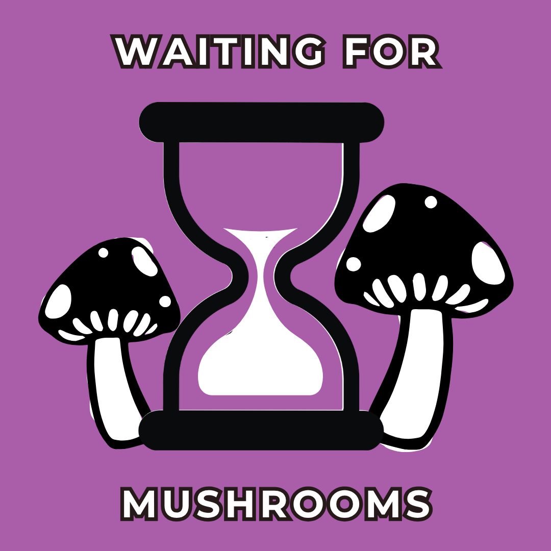 Waiting For Mushrooms show logo icon with two mushrooms and an hourglass on a purple background