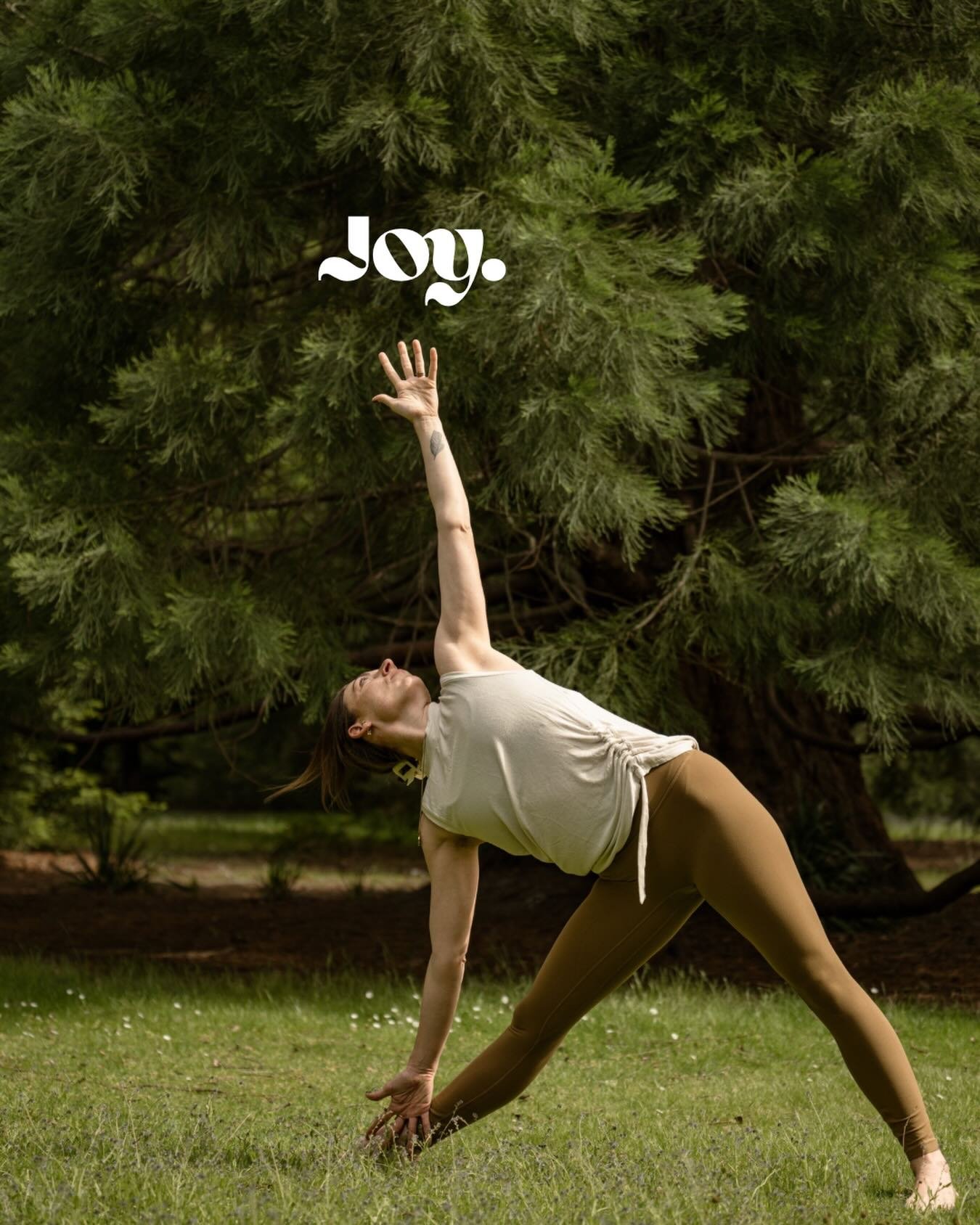 Carve out space for JOY ✨

Whether you do or don&rsquo;t celebrate Christmas, this time of year can be a lot. Find some space to seek out small acts of joy. Those tiny movements that fill your cup and protect your peace. 

And if all else fails, put 