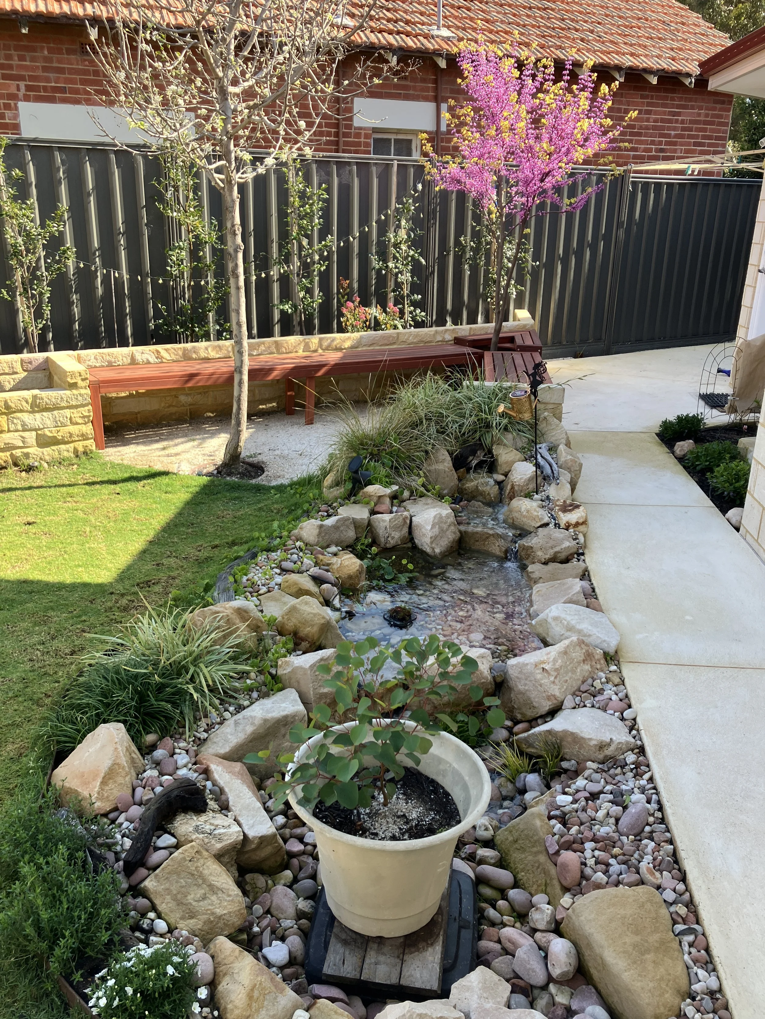 Jarrah Benches with Tree surround
