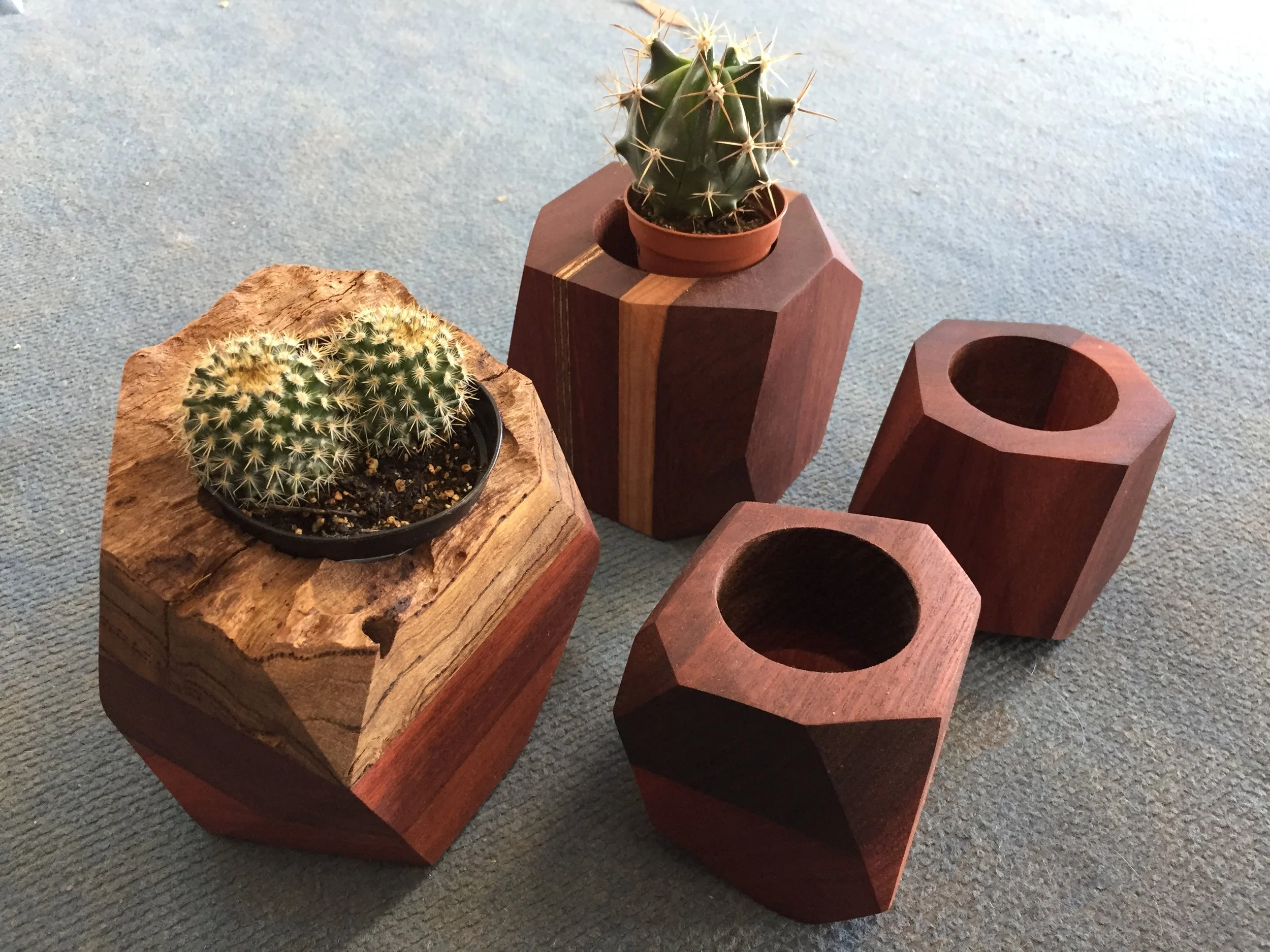  Cactus mini planters