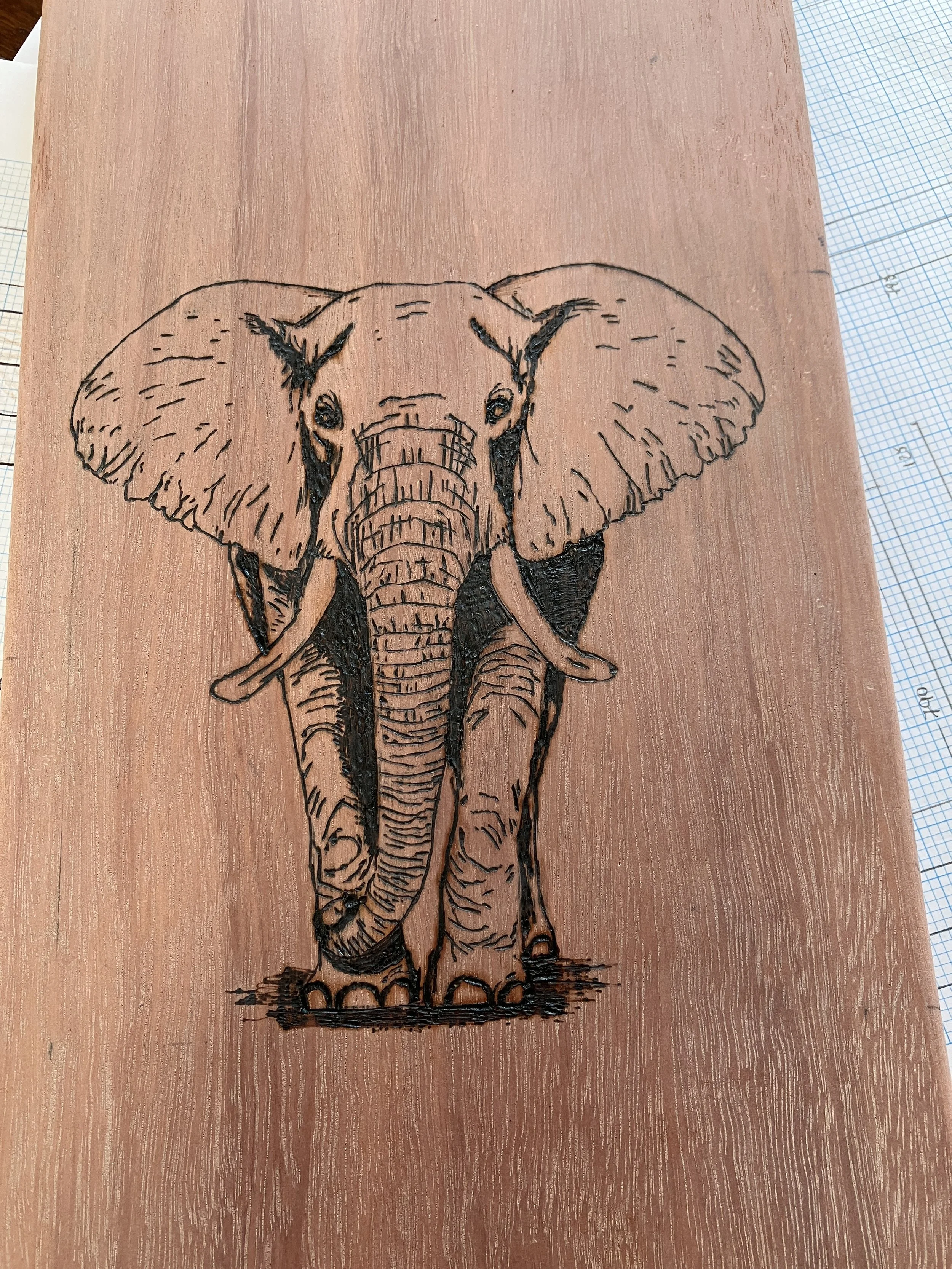 Hand pyrography elephant on Jarrah