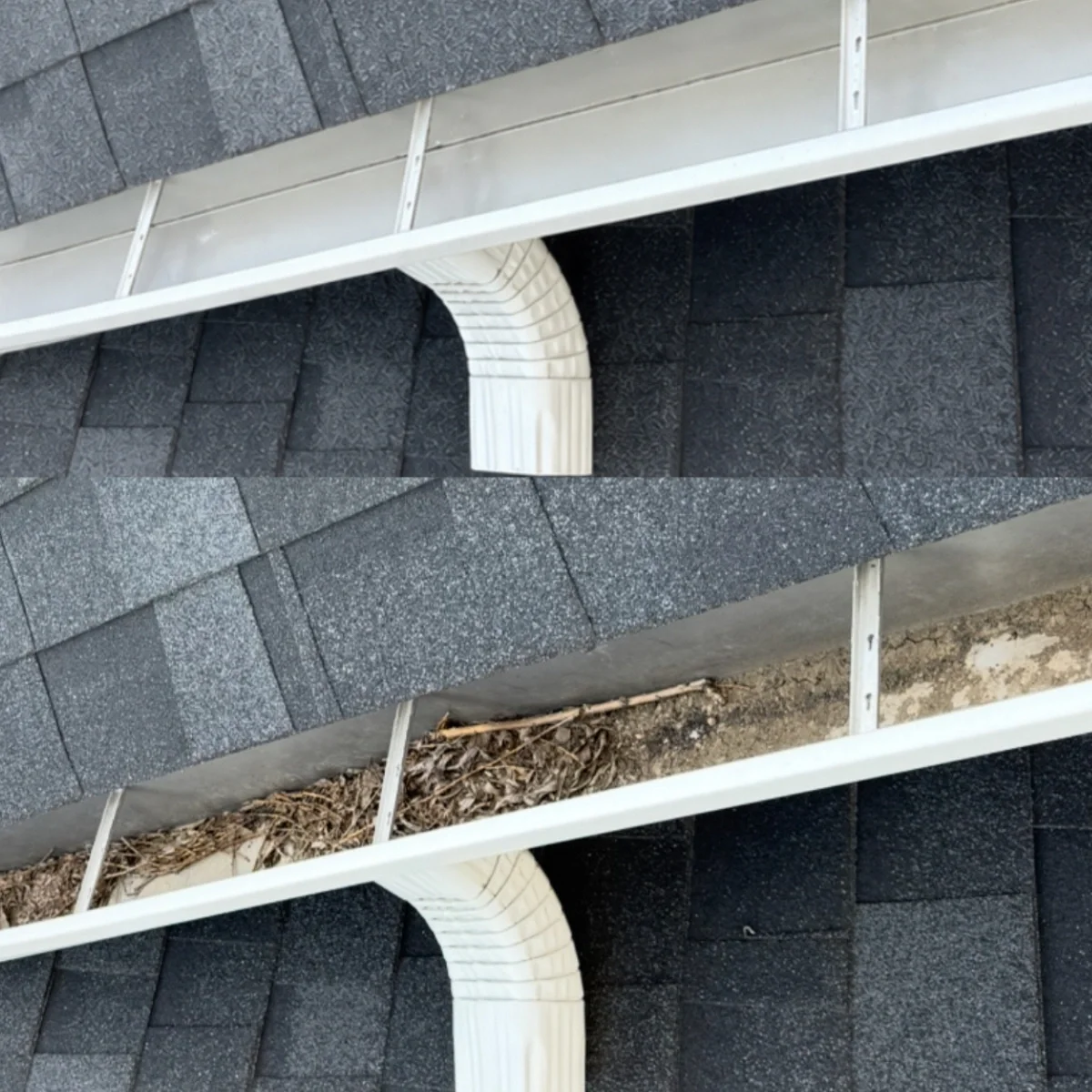 Close-up of leaves and roof grit buildup inside a white residential gutter channel before and after cleaning.